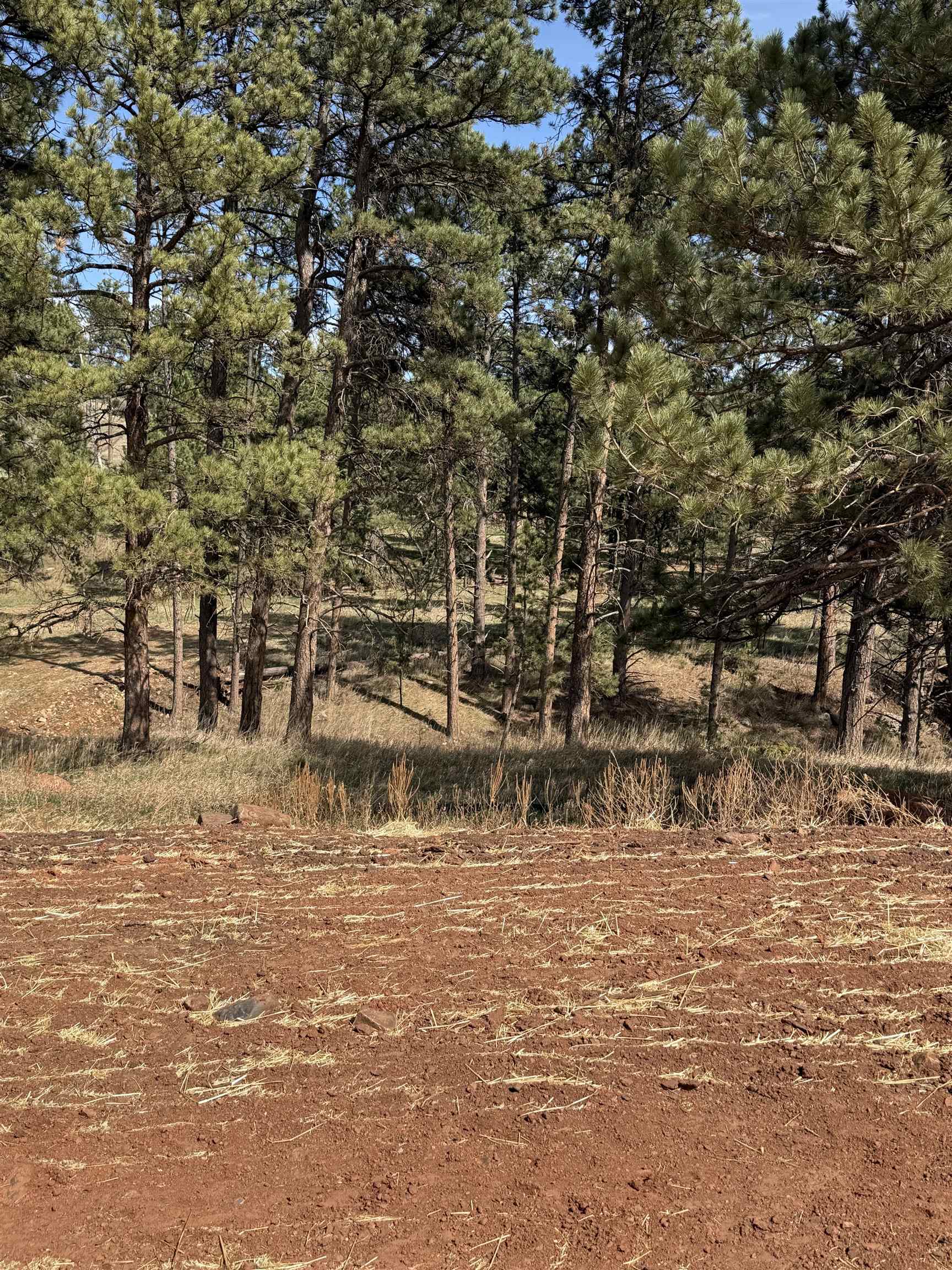 5722 Wind River Road Property Photo 2