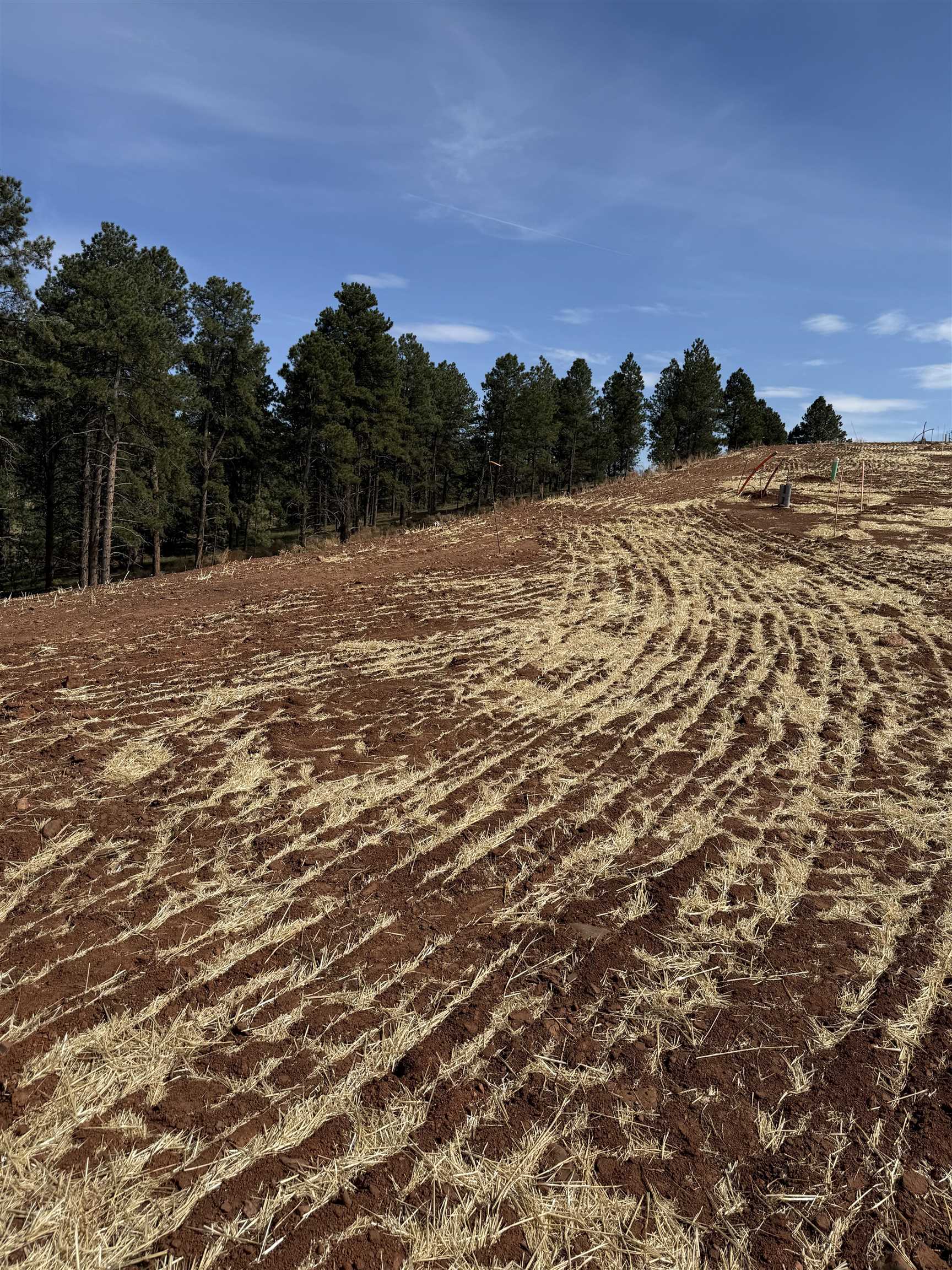 5722 Wind River Road Property Photo 6