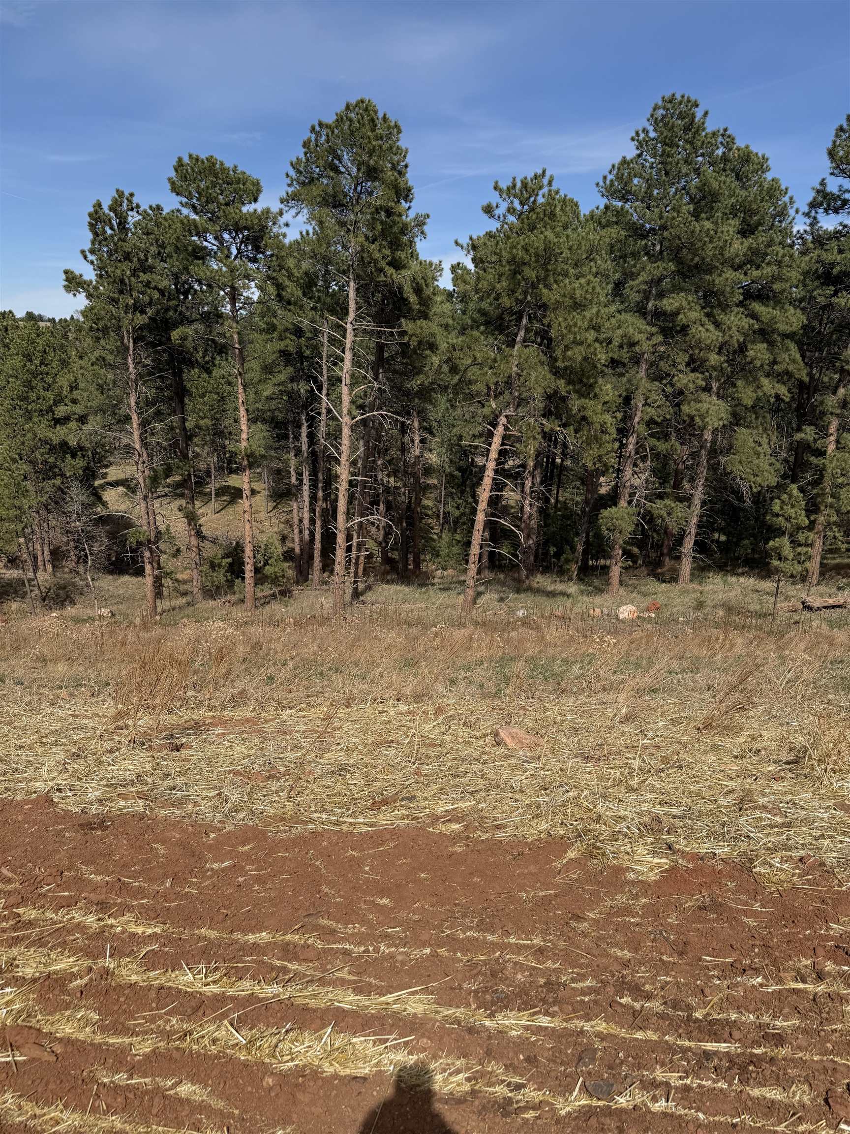 5722 Wind River Road Property Photo 8