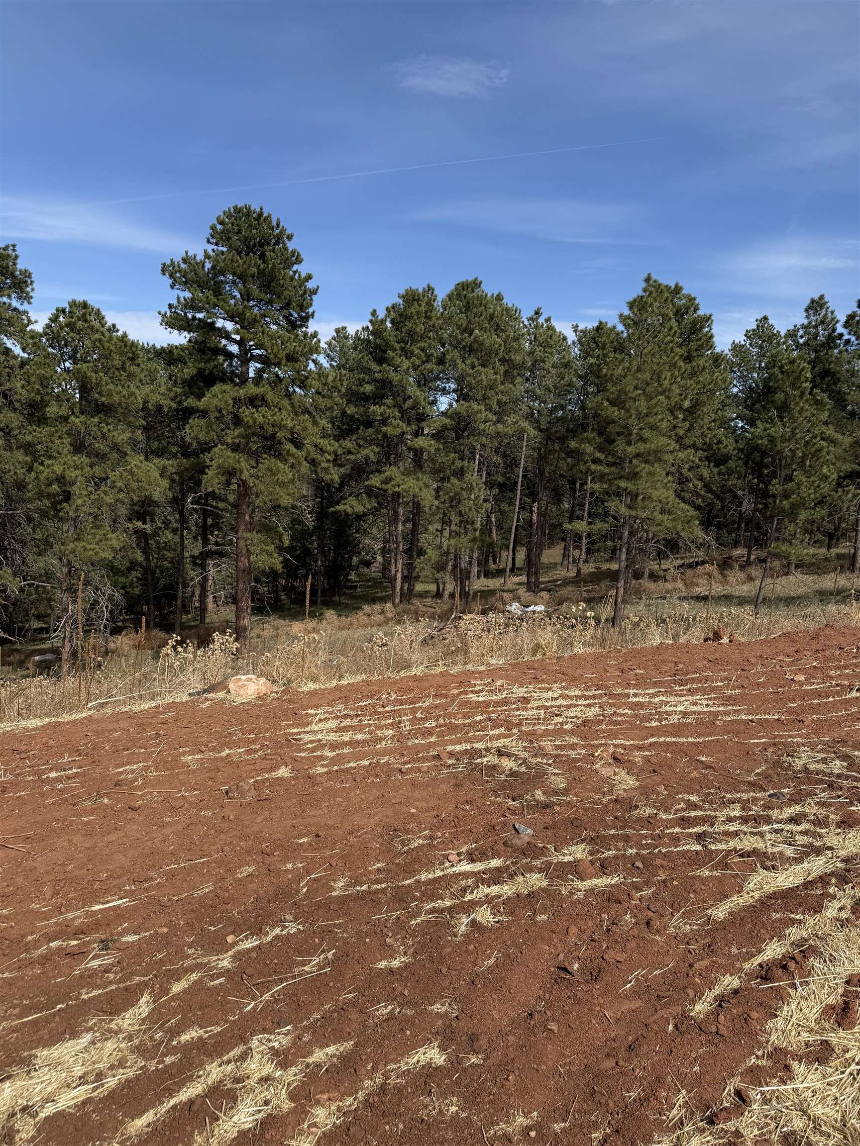 5722 Wind River Road Property Photo 10