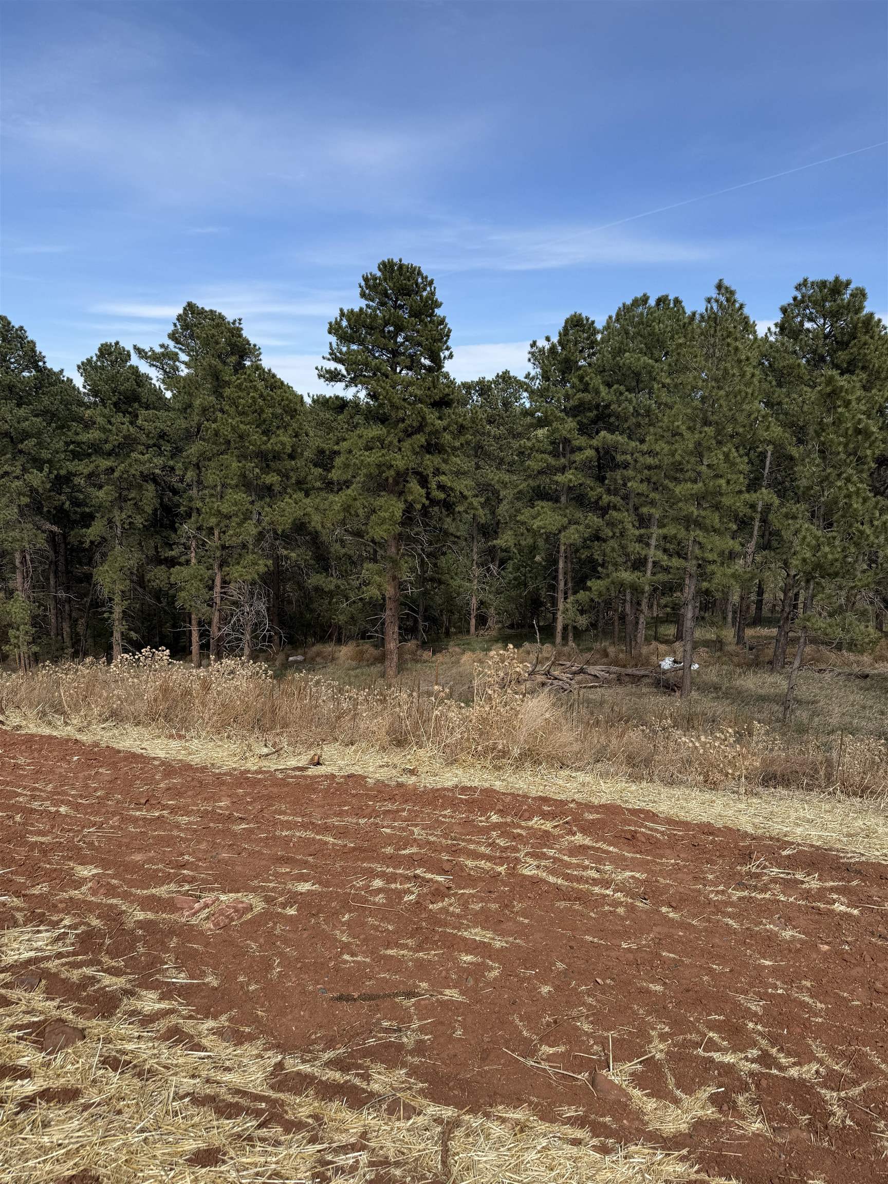5722 Wind River Road Property Photo 14
