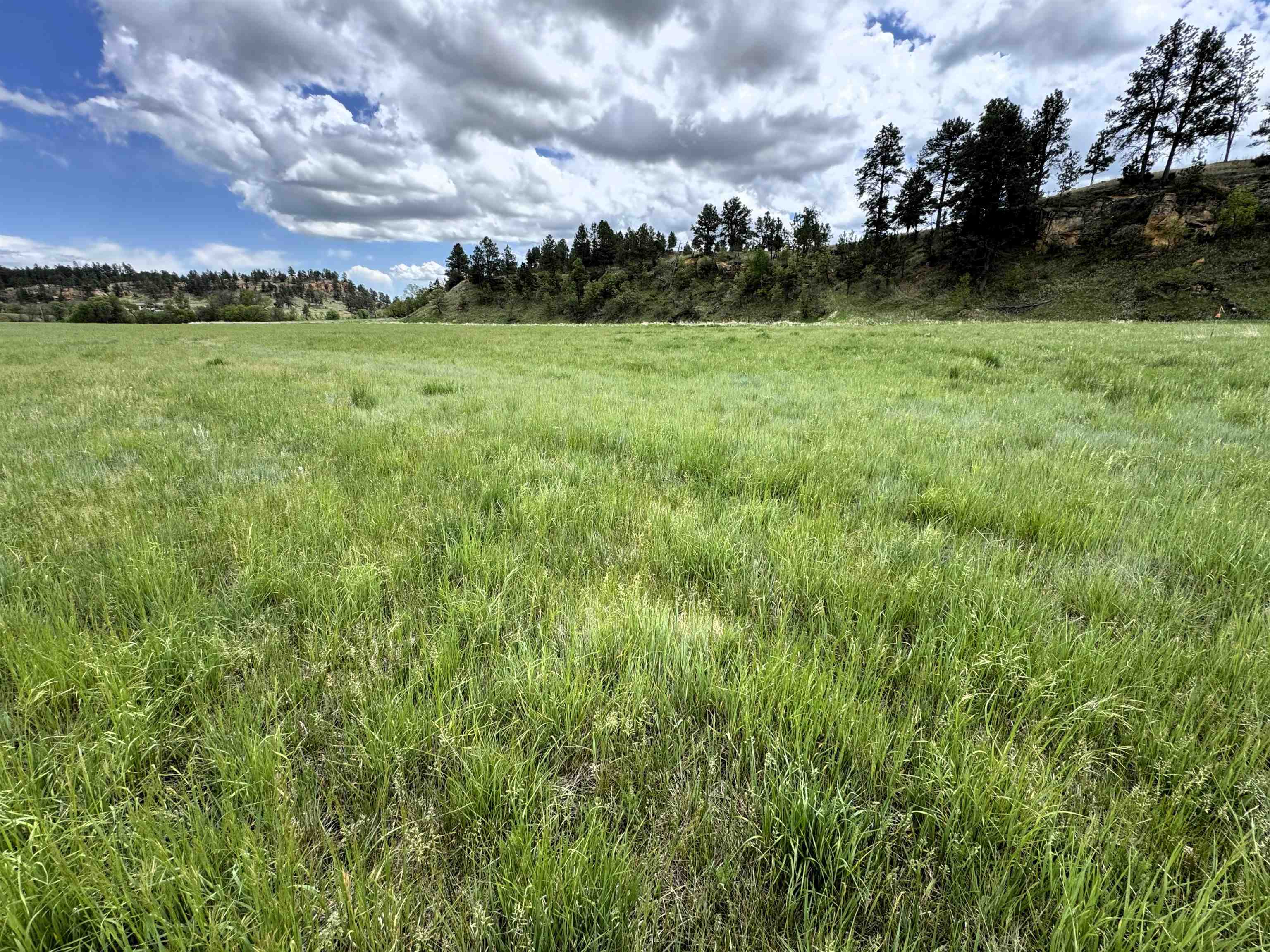 R-9 Mustang Valley Road Property Photo 3