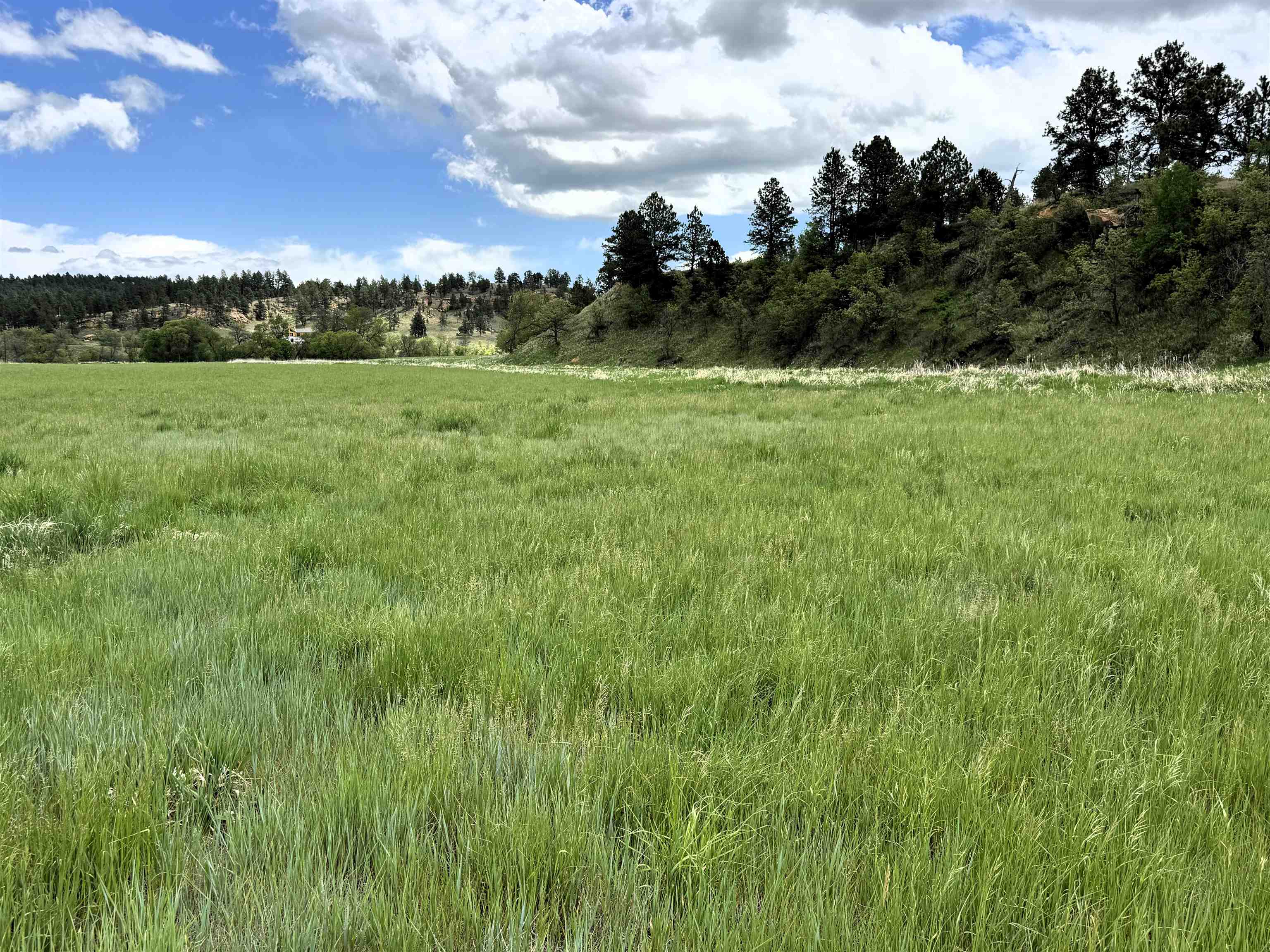 R-9 Mustang Valley Road Property Photo 5