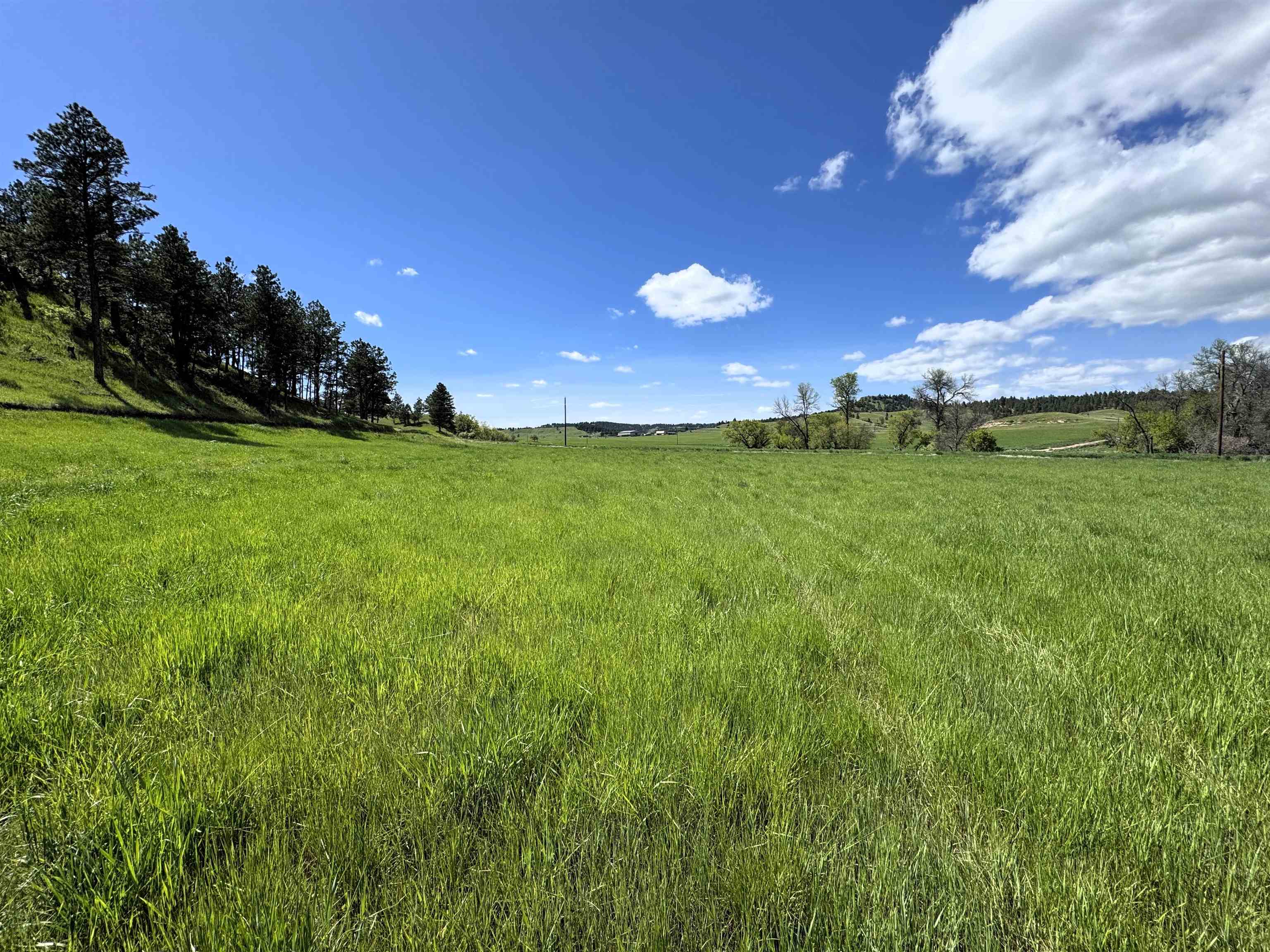 R-9 Mustang Valley Road Property Photo 8