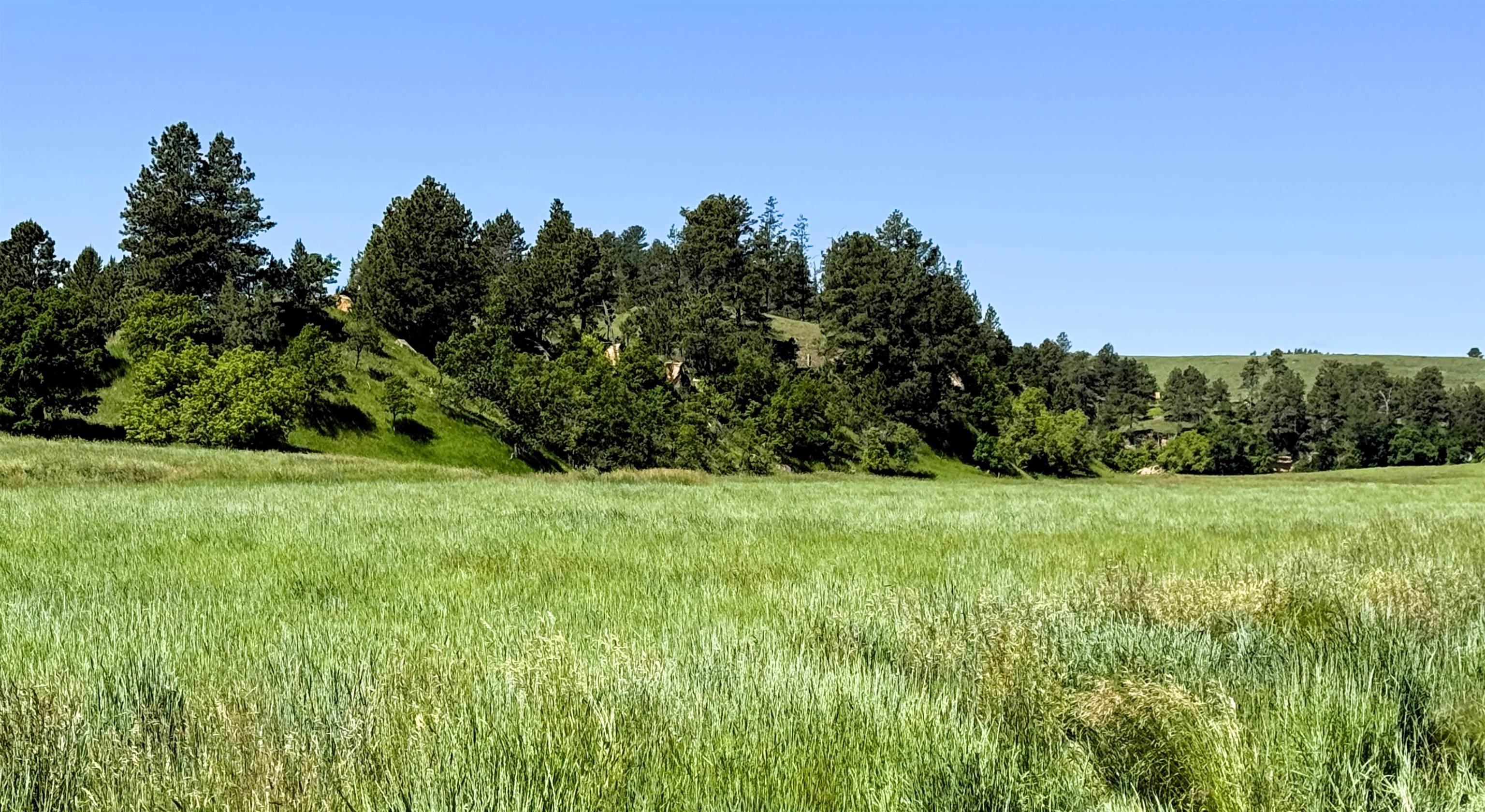 R-9 Mustang Valley Road Property Photo 9