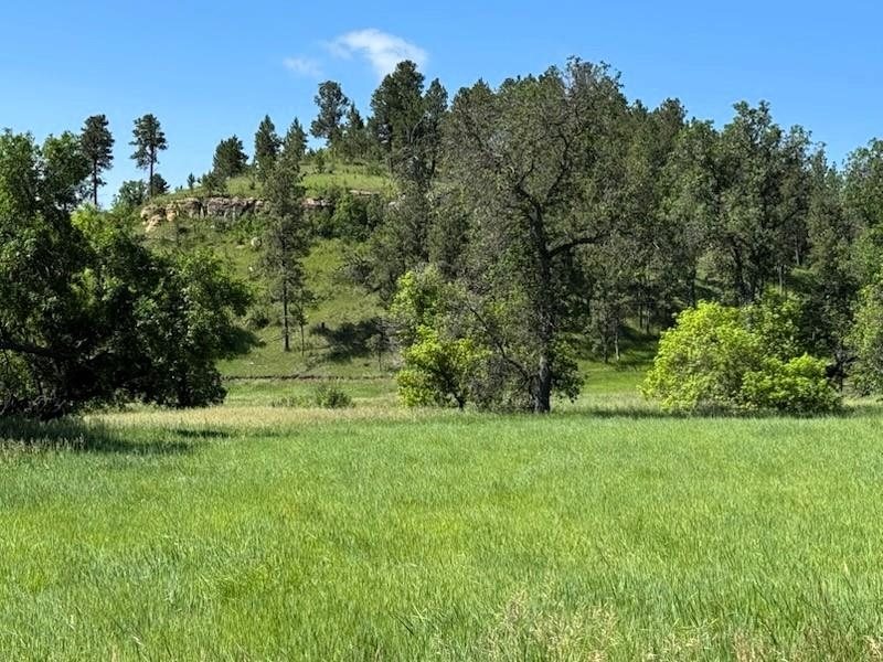 R-9 Mustang Valley Road Property Photo 10