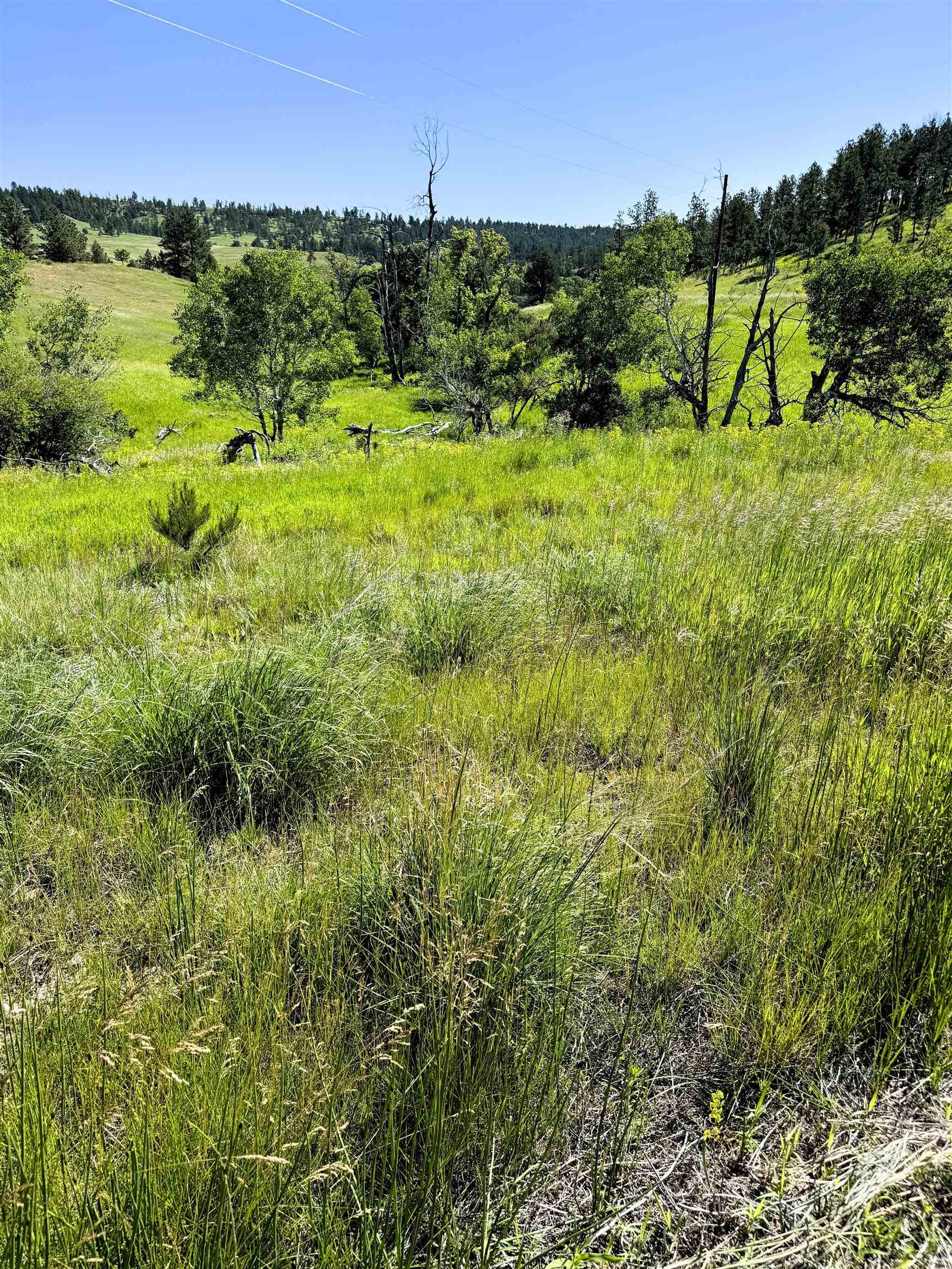 R-9 Mustang Valley Road Property Photo 11