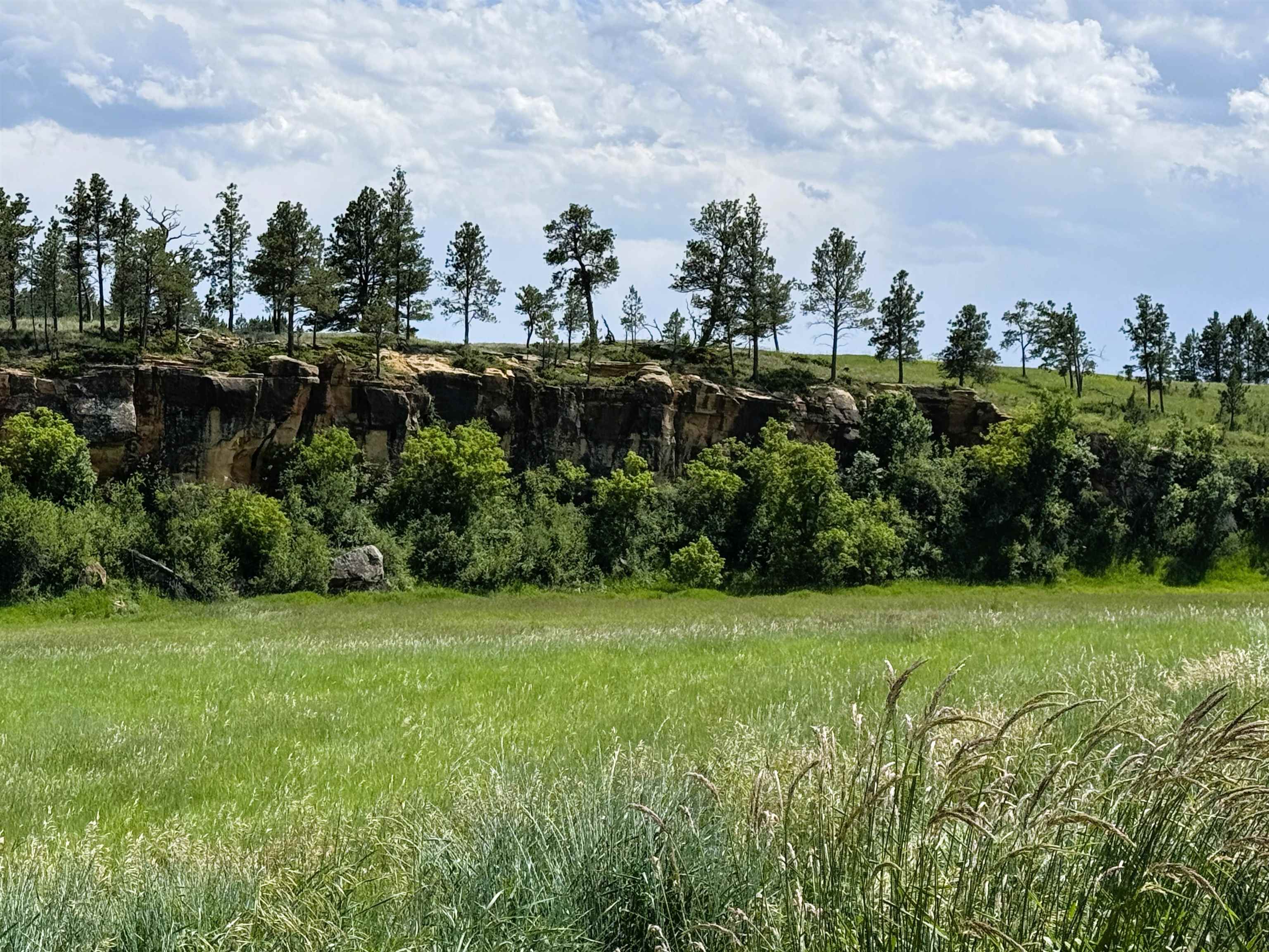 R-9 Mustang Valley Road Property Photo 12