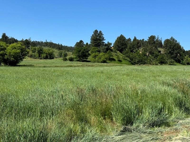 R-9 Mustang Valley Road Property Photo 14