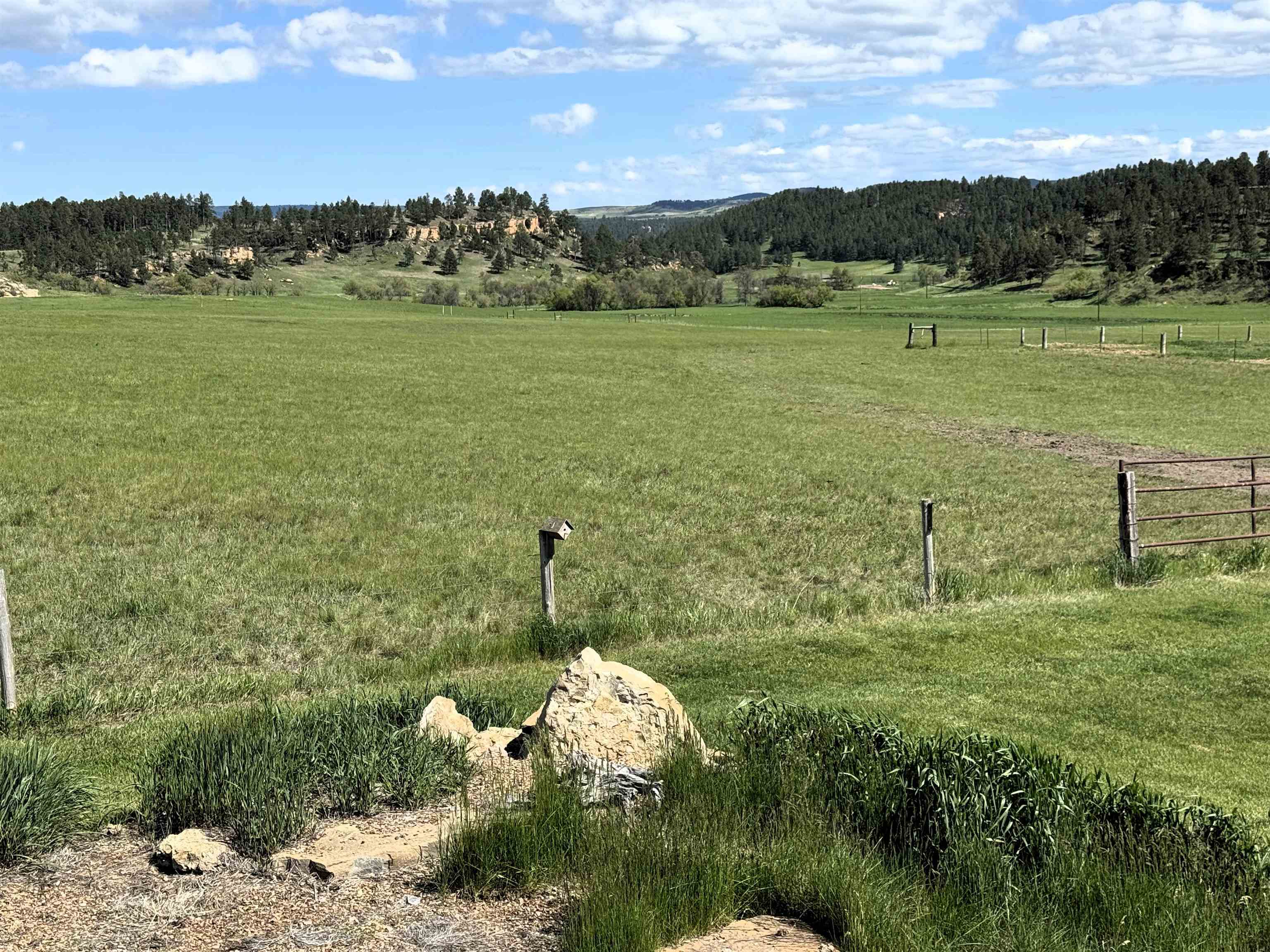 R-9 Mustang Valley Road Property Photo 17