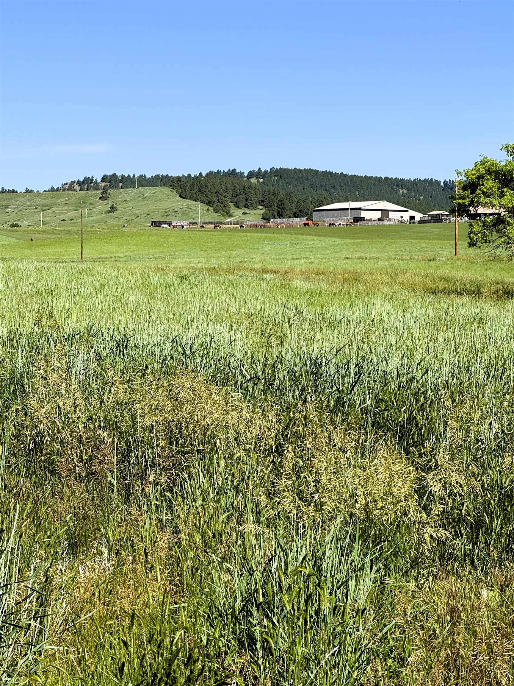 R-9 Mustang Valley Road Property Photo 19