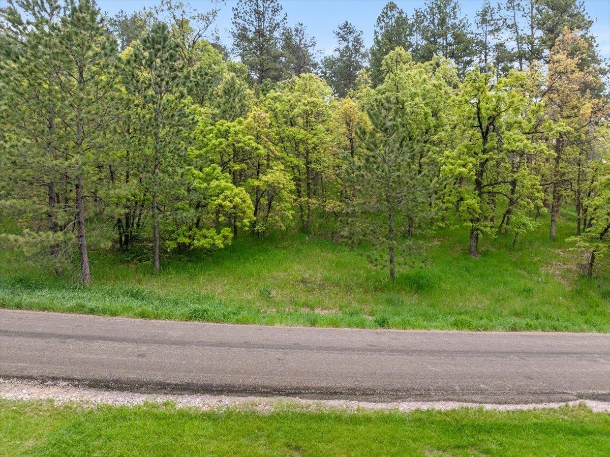TBD Aspen Way Property Photo 1