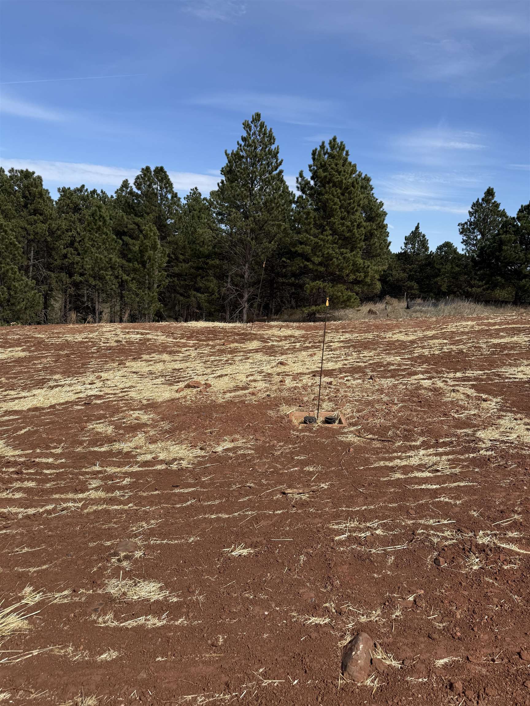5520 Wind River Road Property Photo 8