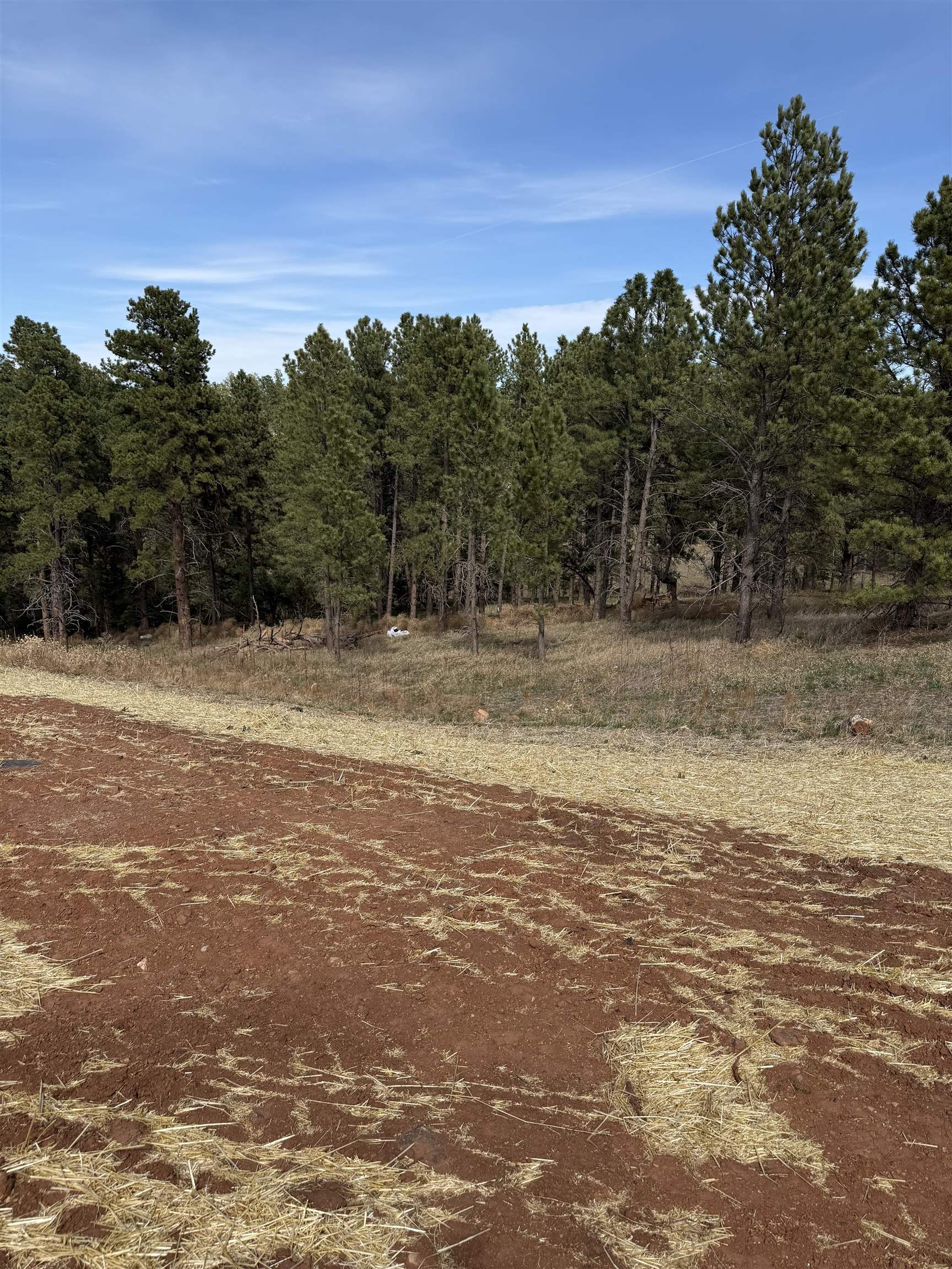 5438 Wind River Road Property Photo 7