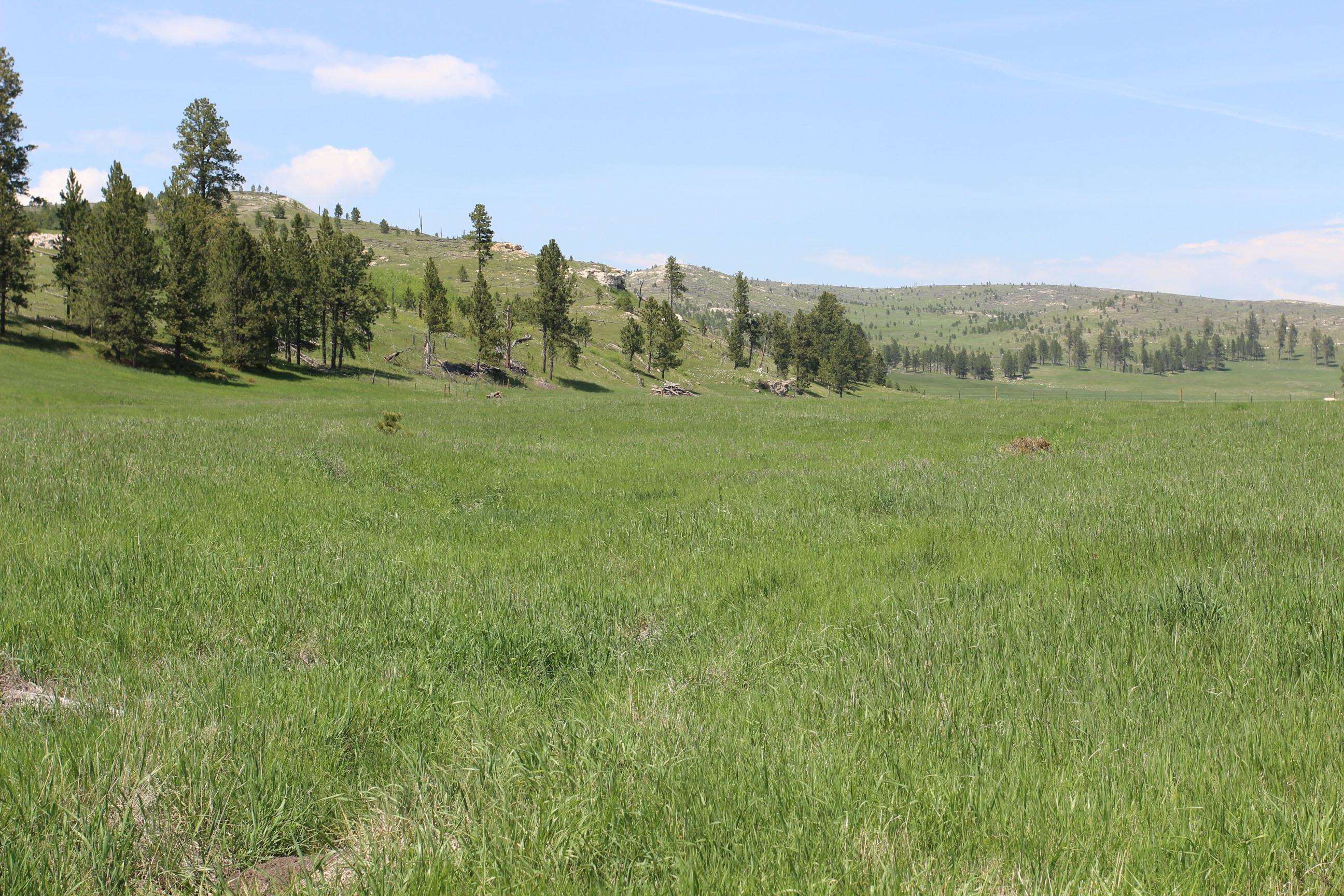 20.57 Acres Custer Limestone Road Property Photo 7