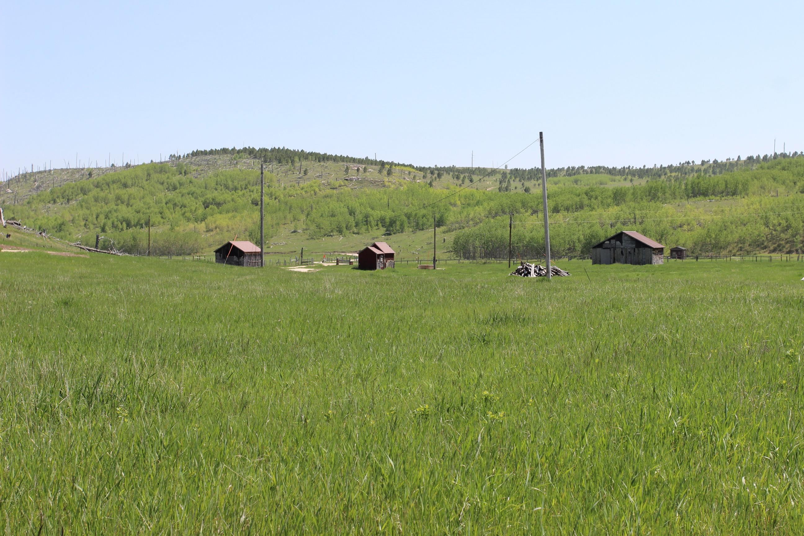 20.57 Acres Custer Limestone Road Property Photo 8