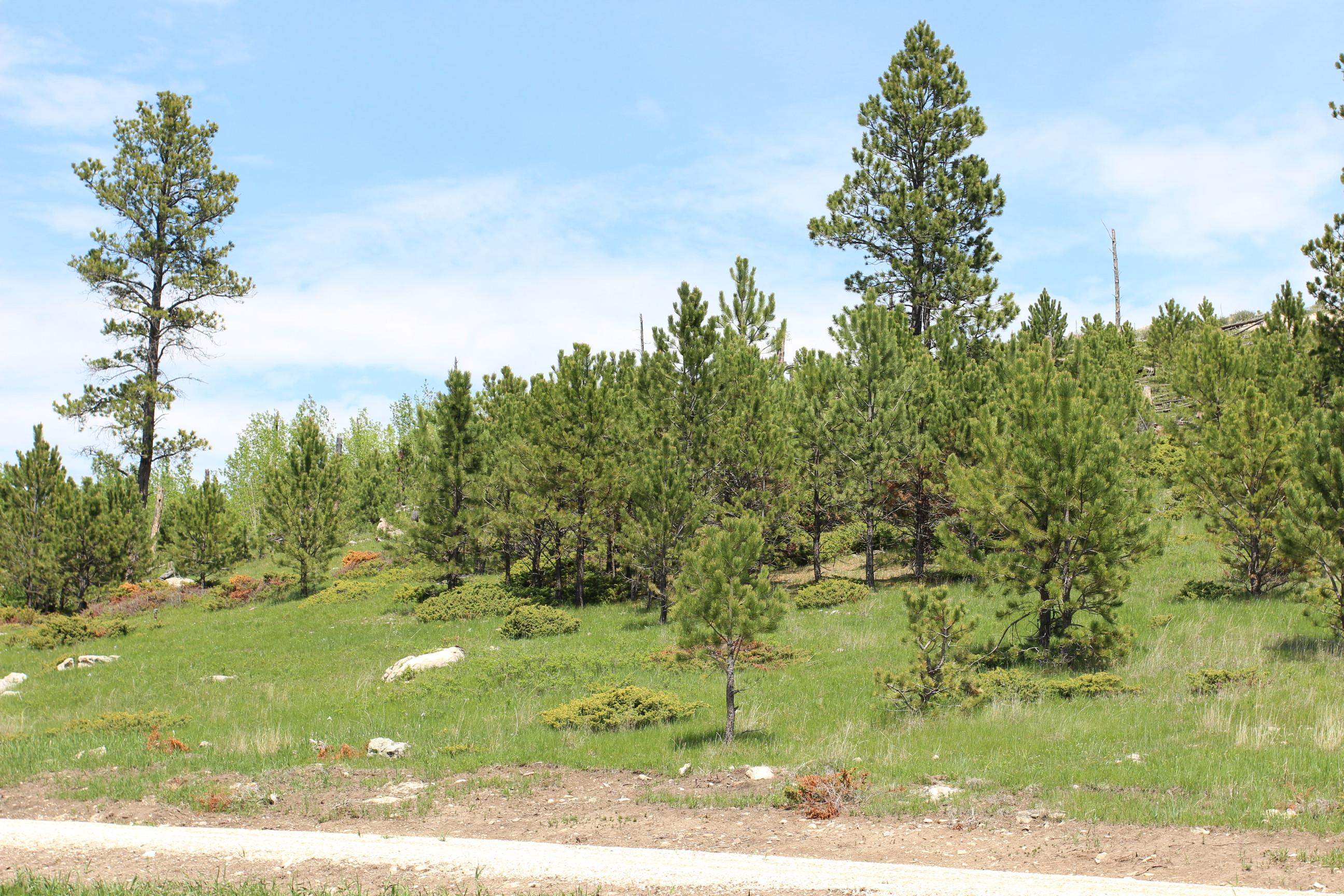 20.57 Acres Custer Limestone Road Property Photo 9