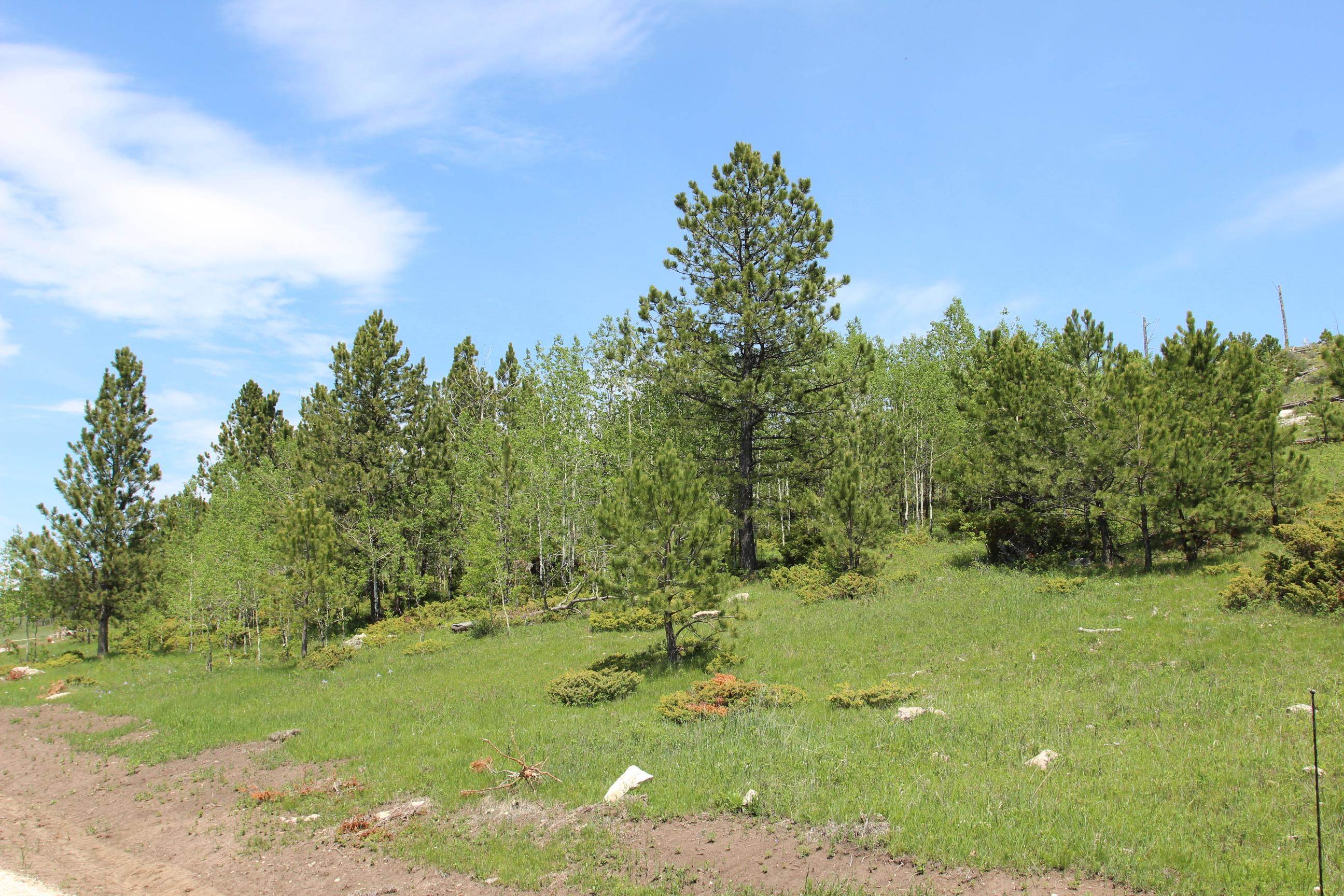 20.57 Acres Custer Limestone Road Property Photo 11