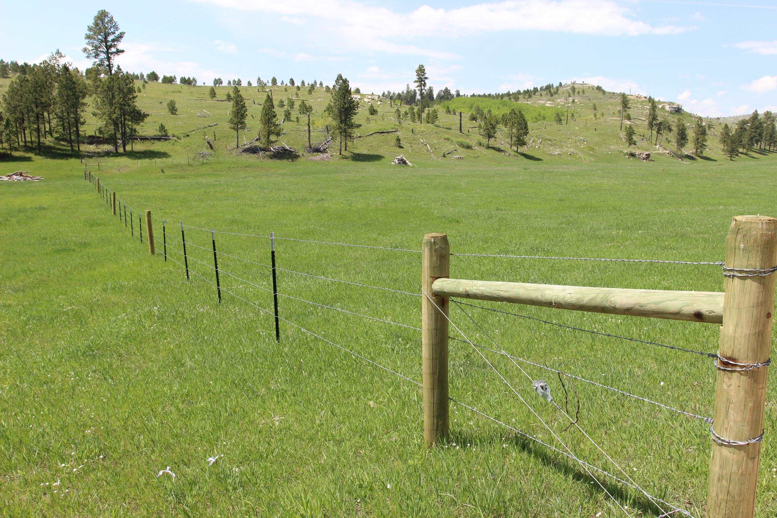 20.57 Acres Custer Limestone Road Property Photo 13