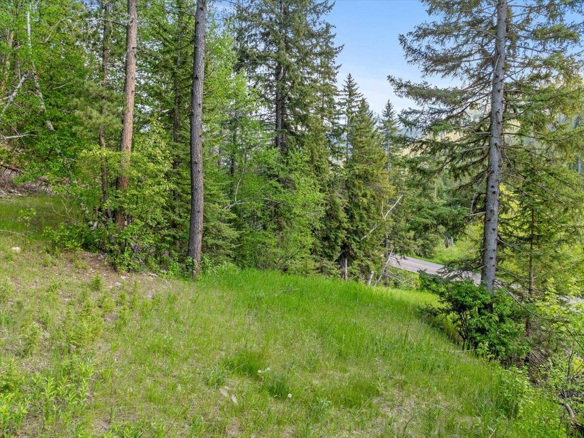 M.s. 1742 Lot 2 Us Hwy 14a Property Photo 3