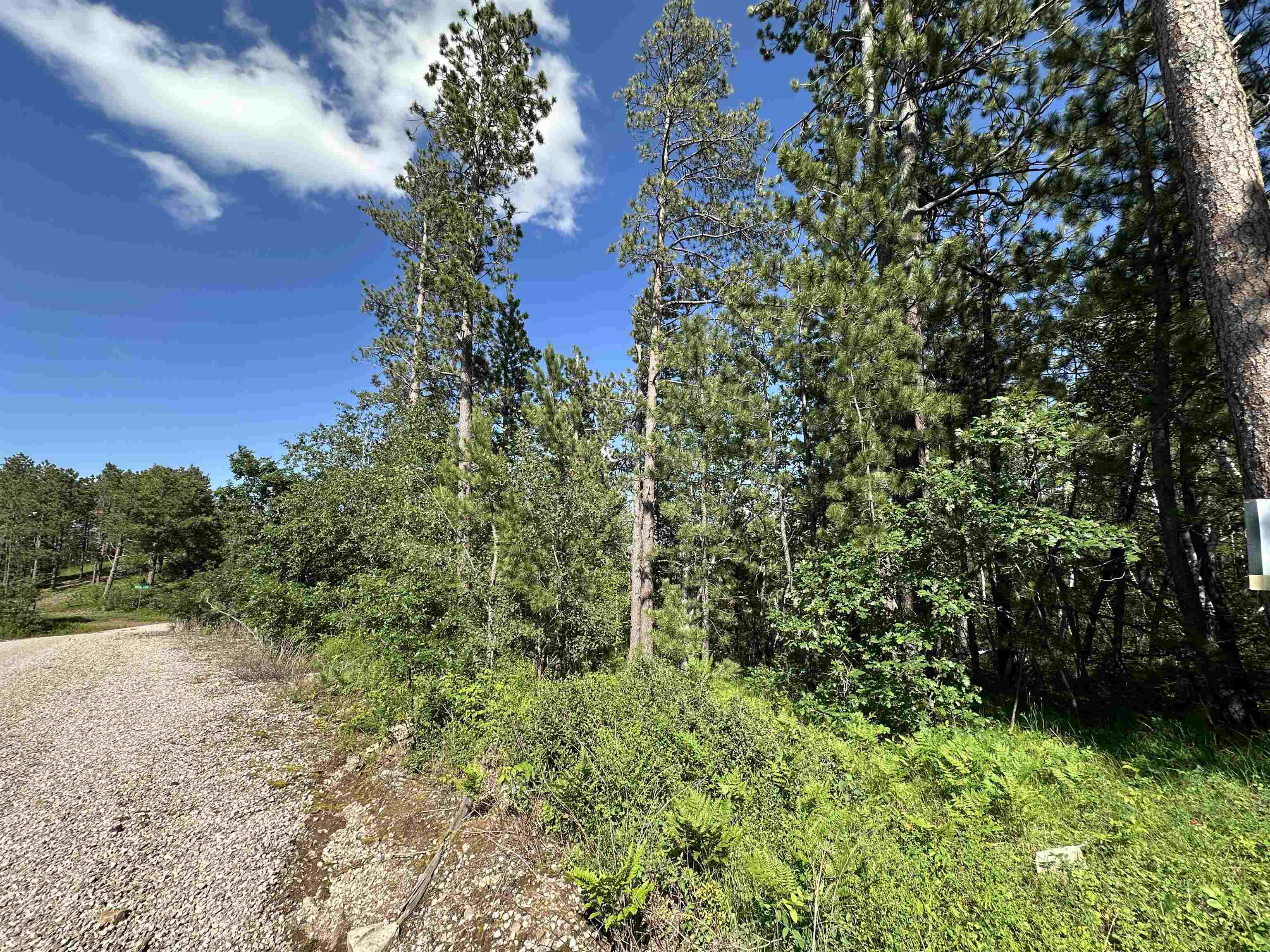 Tbd Rocky Point Road Property Photo 4