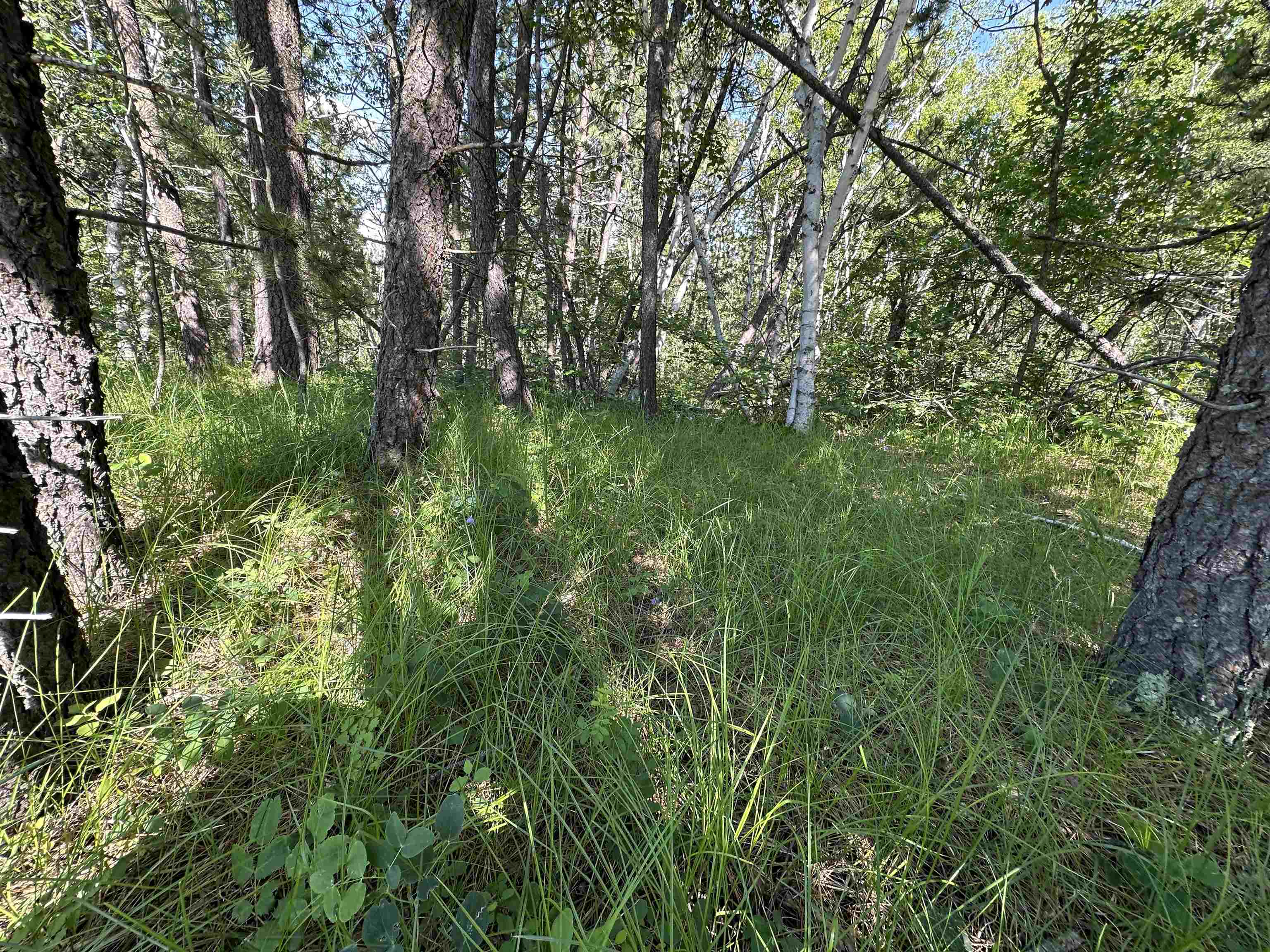 Tbd Rocky Point Road Property Photo 5