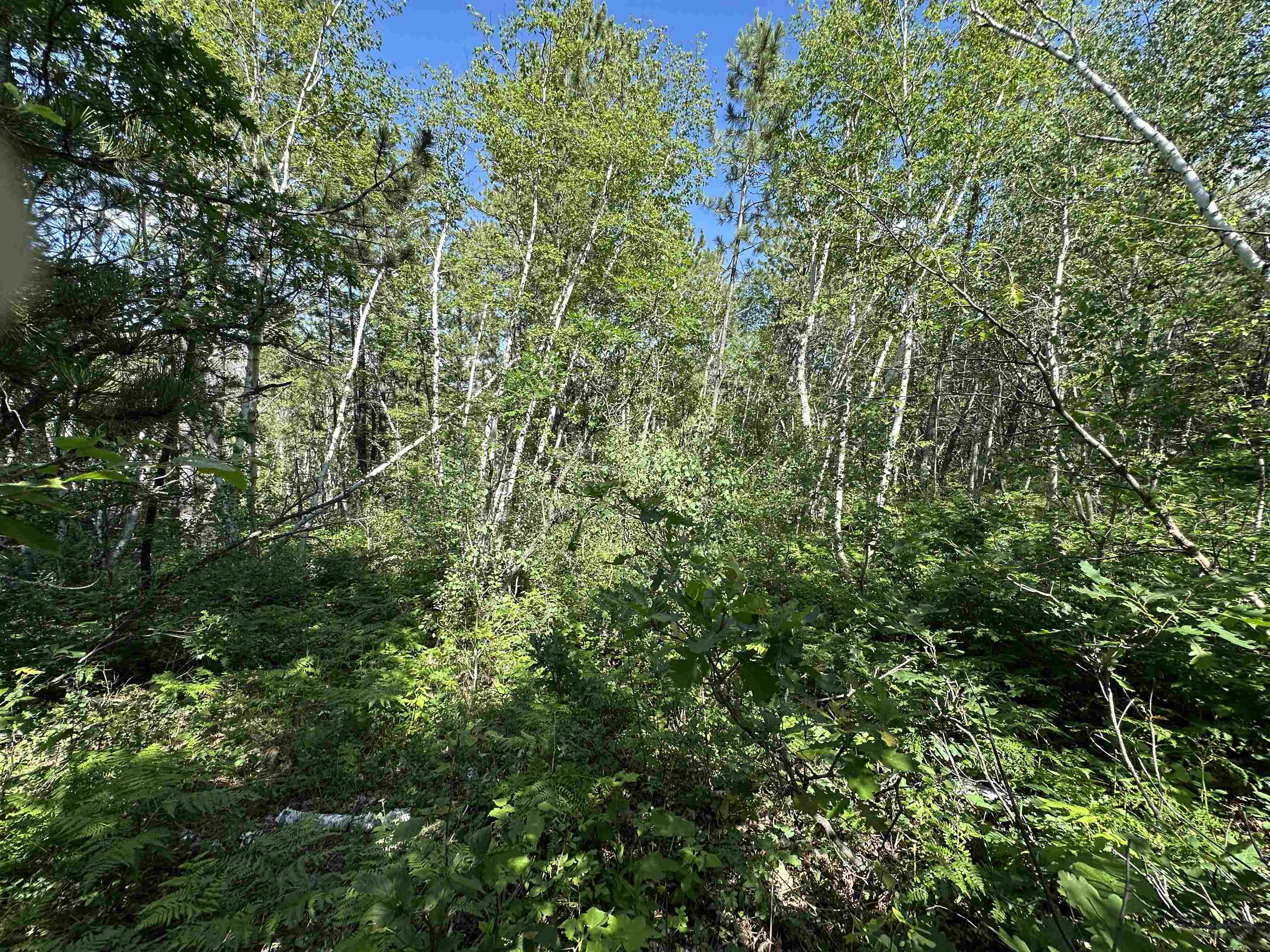 Tbd Rocky Point Road Property Photo 6