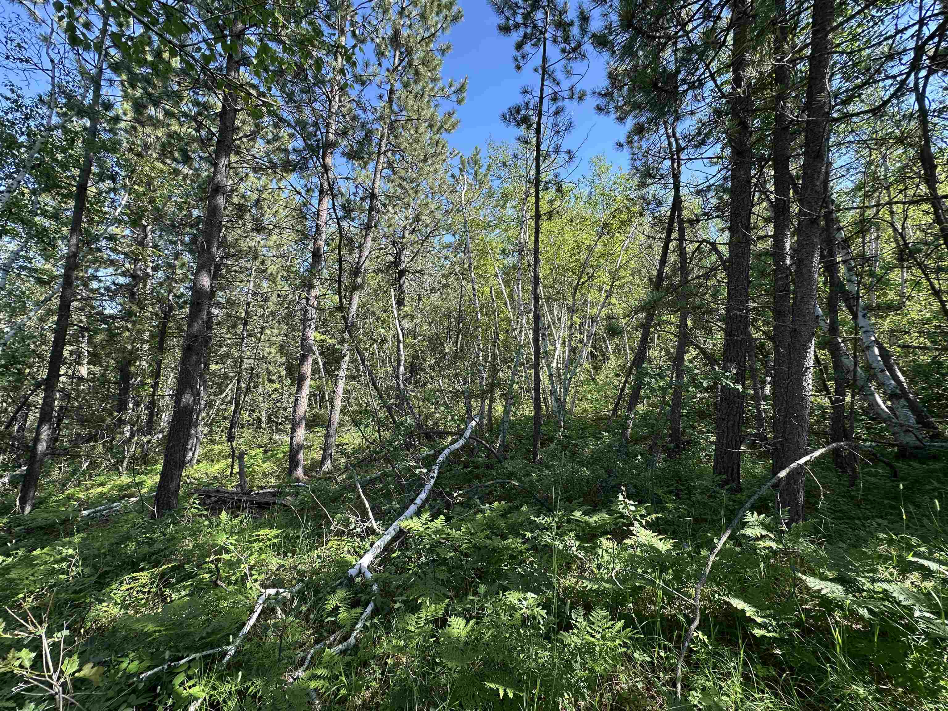 Tbd Rocky Point Road Property Photo 7