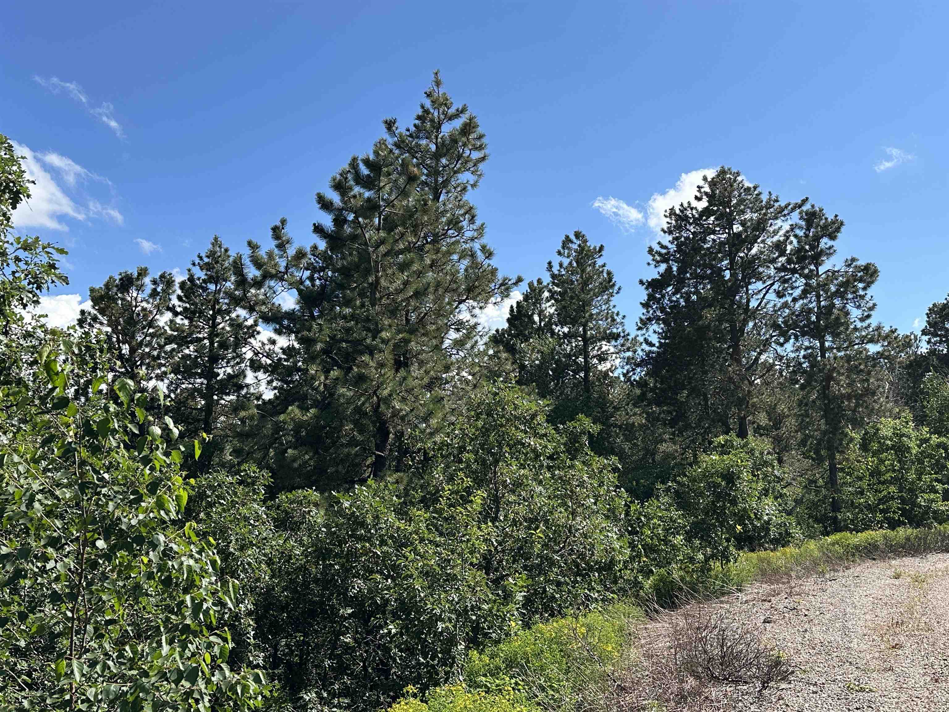 Tbd Rocky Point Road Property Photo 9
