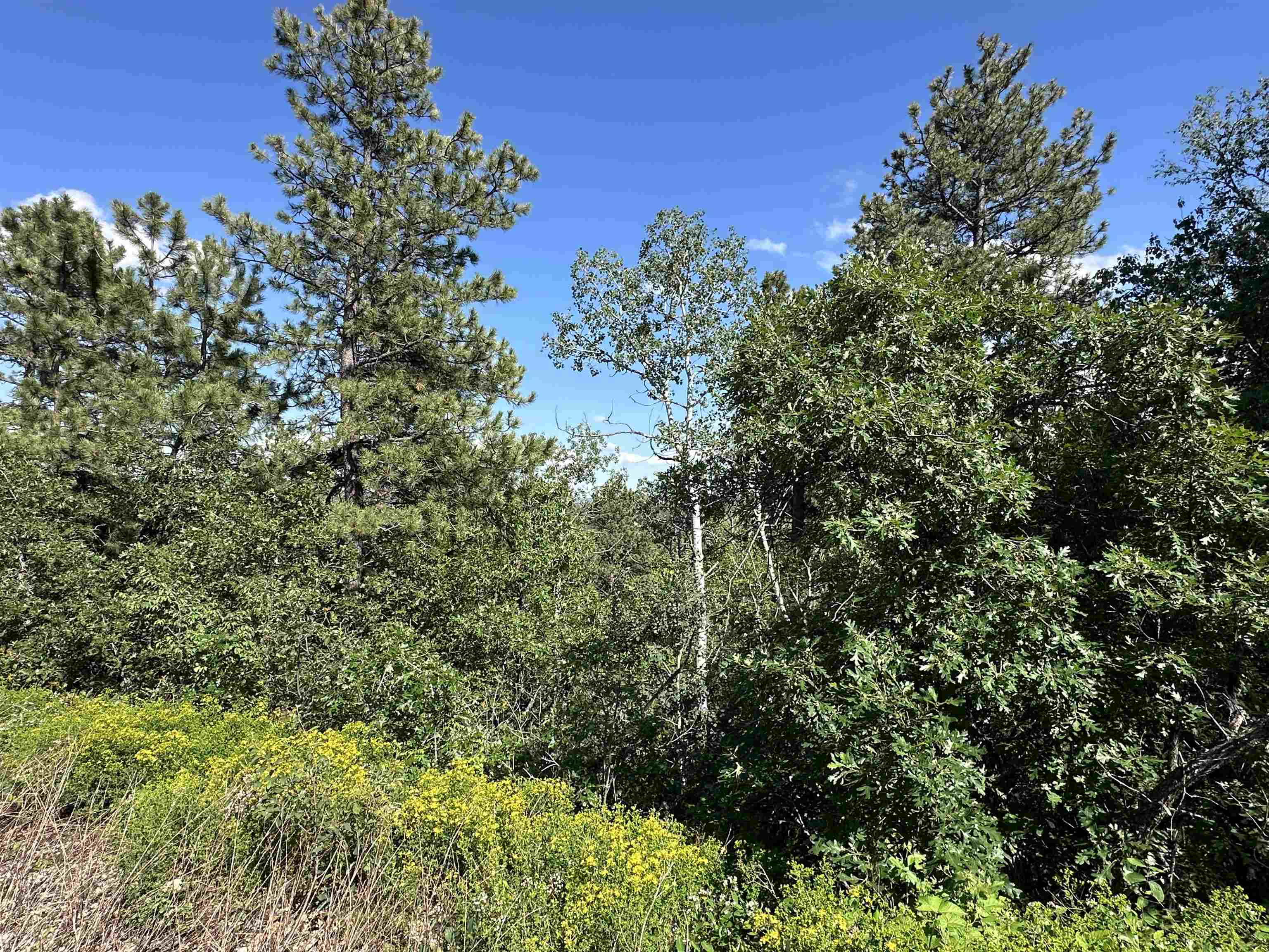 Tbd Rocky Point Road Property Photo 10