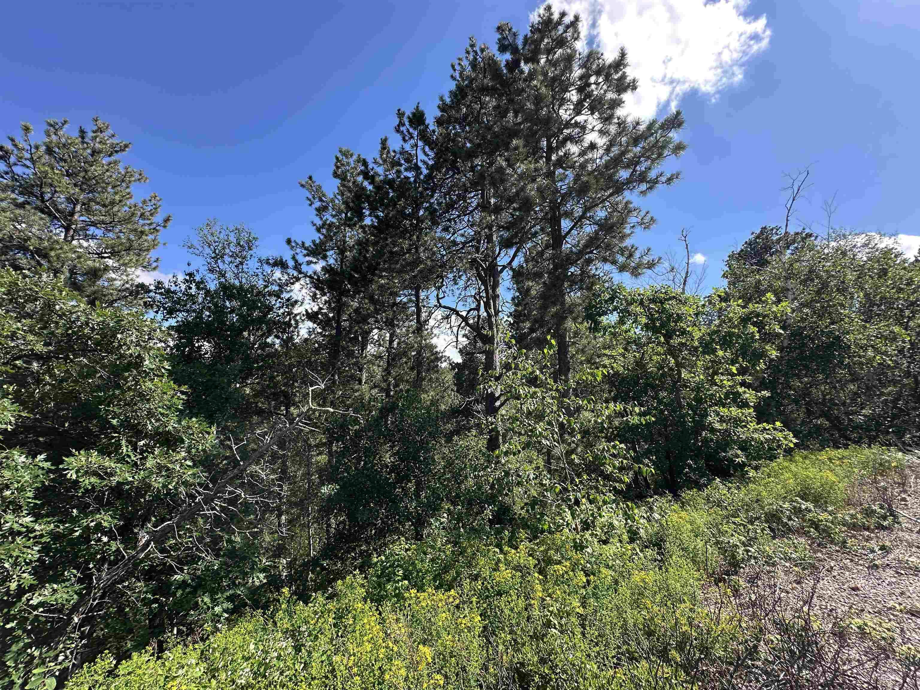 Tbd Rocky Point Road Property Photo 11