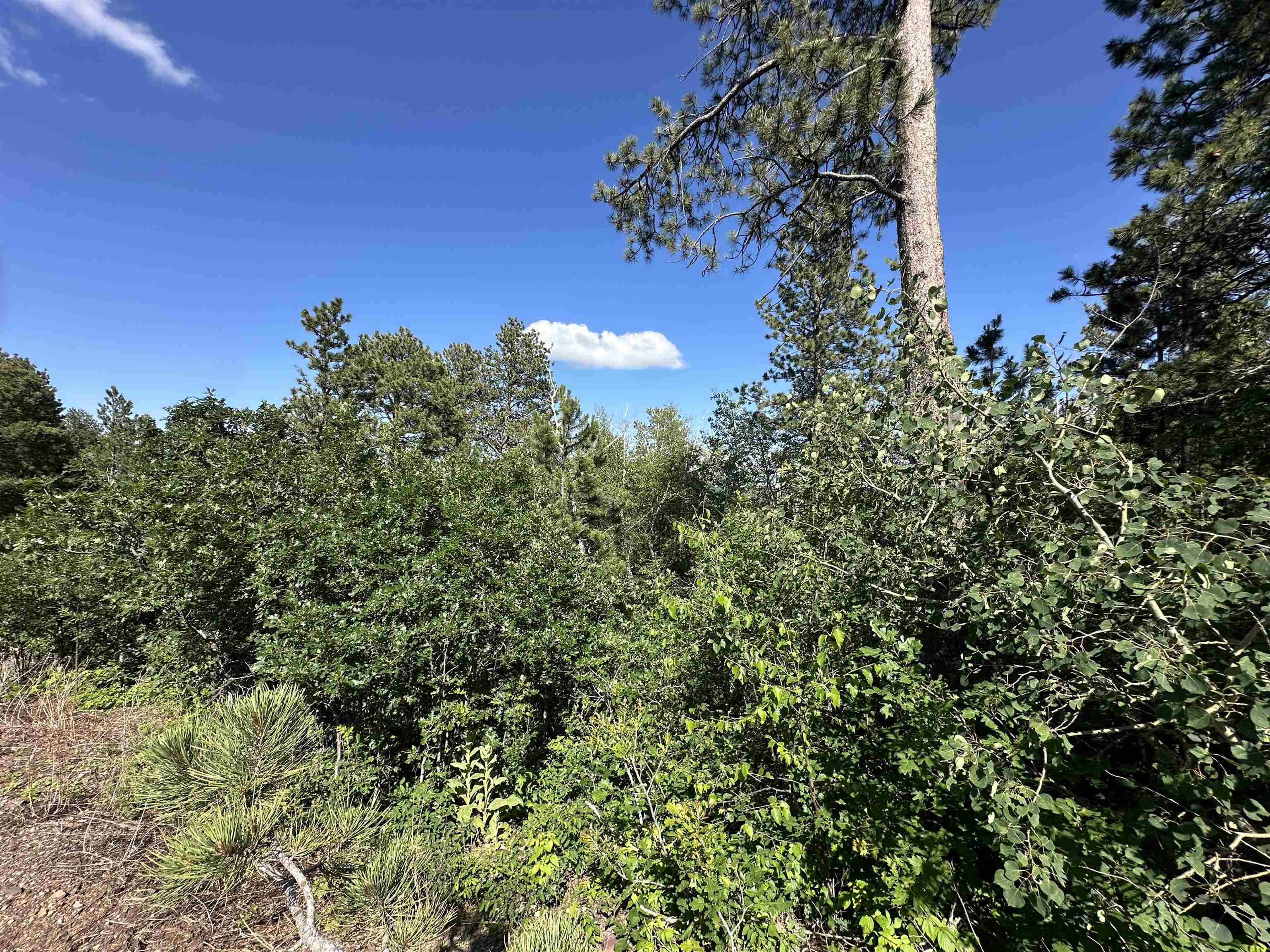 Tbd Rocky Point Road Property Photo 13