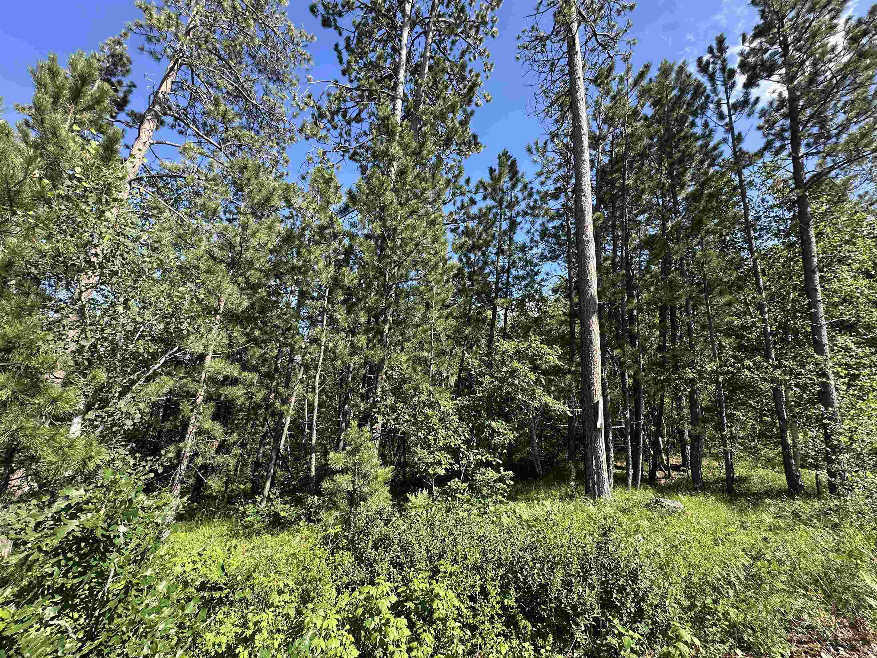 Tbd Rocky Point Road Property Photo 14