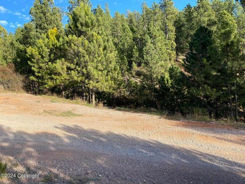 183 Crooked Pine Trl Property Photo 24