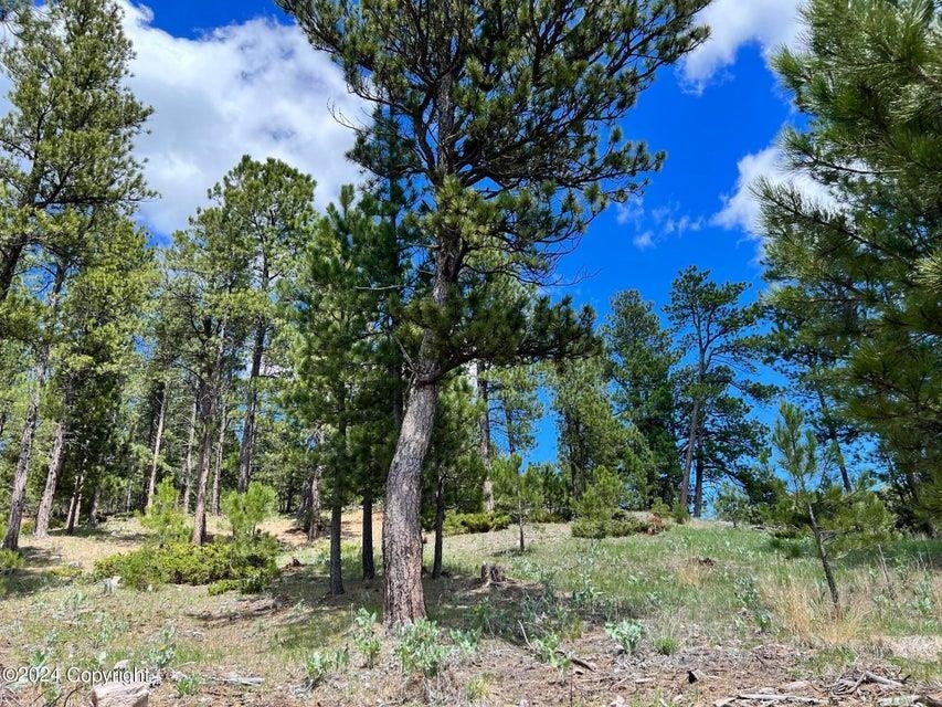 183 Crooked Pine Trl Property Photo 26