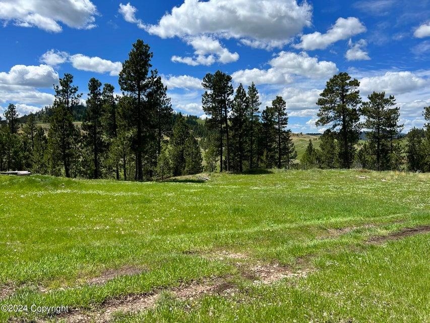 183 Crooked Pine Trl Property Photo 31