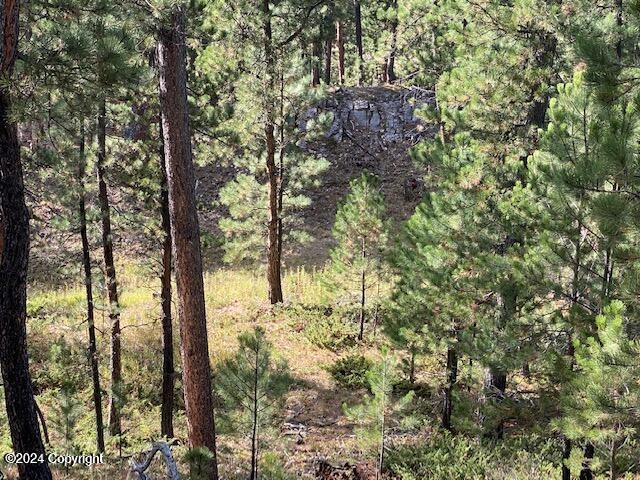 183 Crooked Pine Trl Property Photo 44