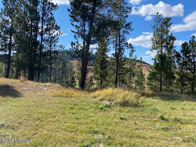 183 Crooked Pine Trl Property Photo 46