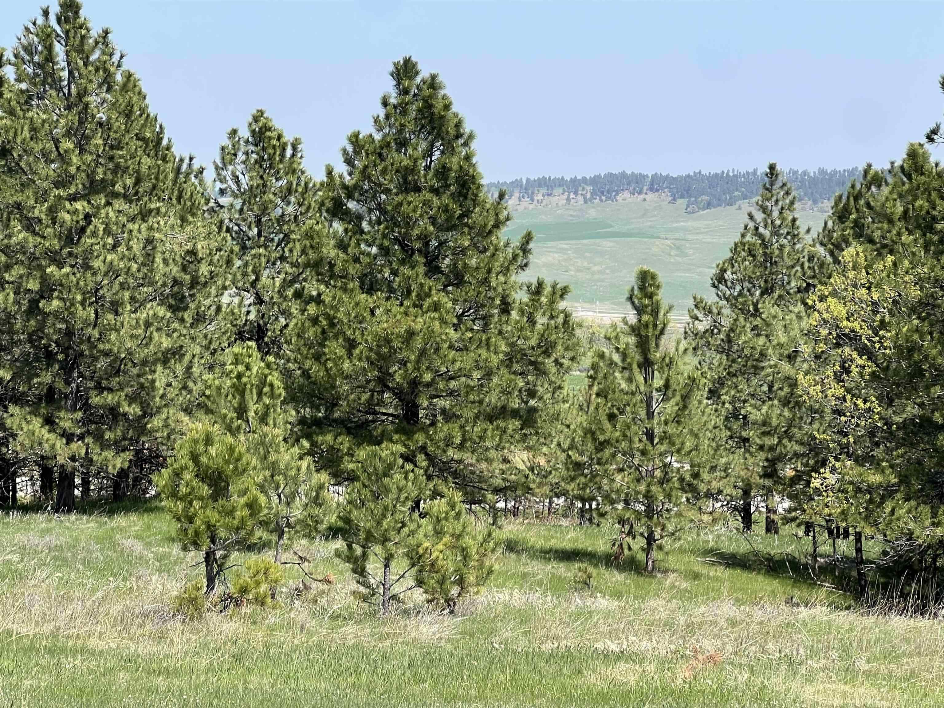 Lot 13 Oak Drive Property Photo 15