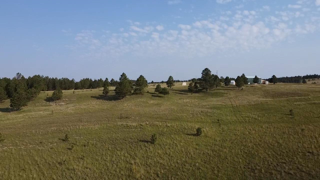 12075 True Grit Trail Property Photo 4