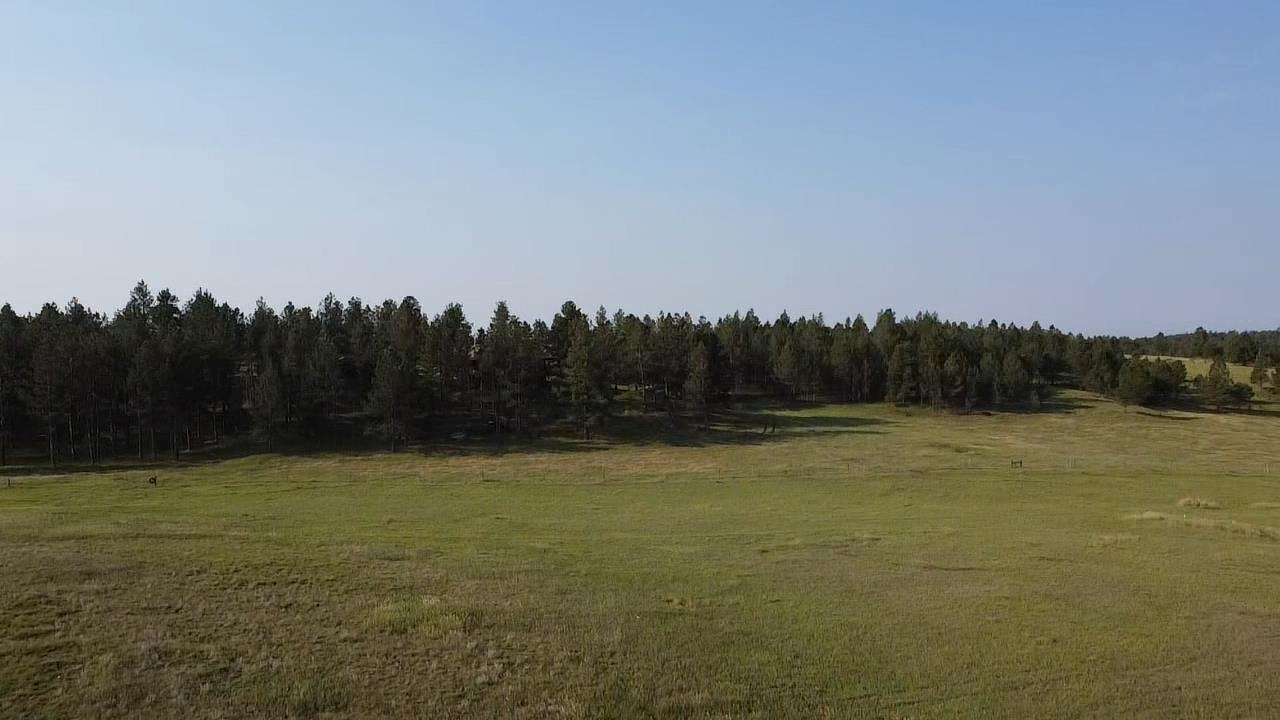 12075 True Grit Trail Property Photo 10