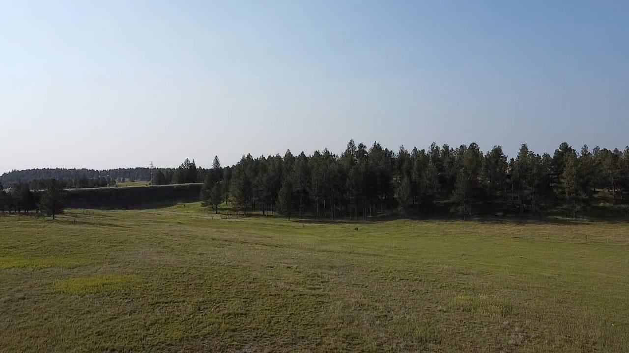 12075 True Grit Trail Property Photo 13
