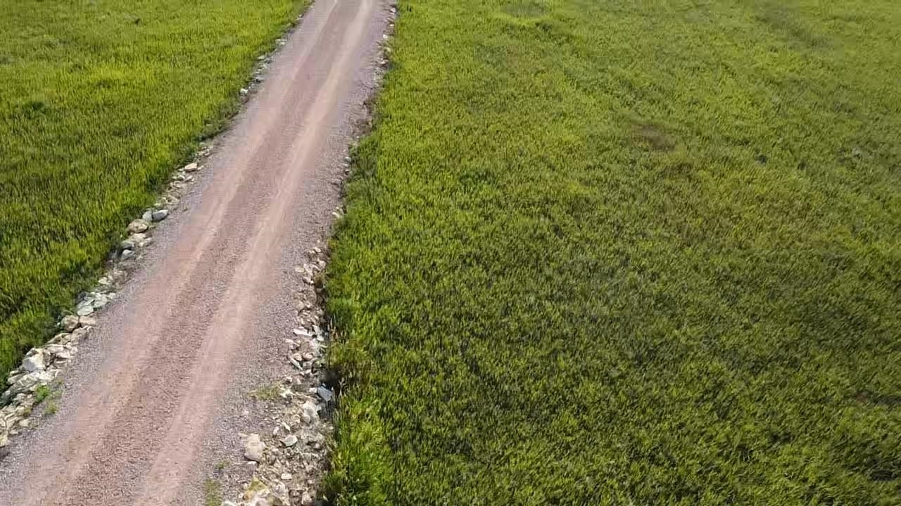 12075 True Grit Trail Property Photo 29