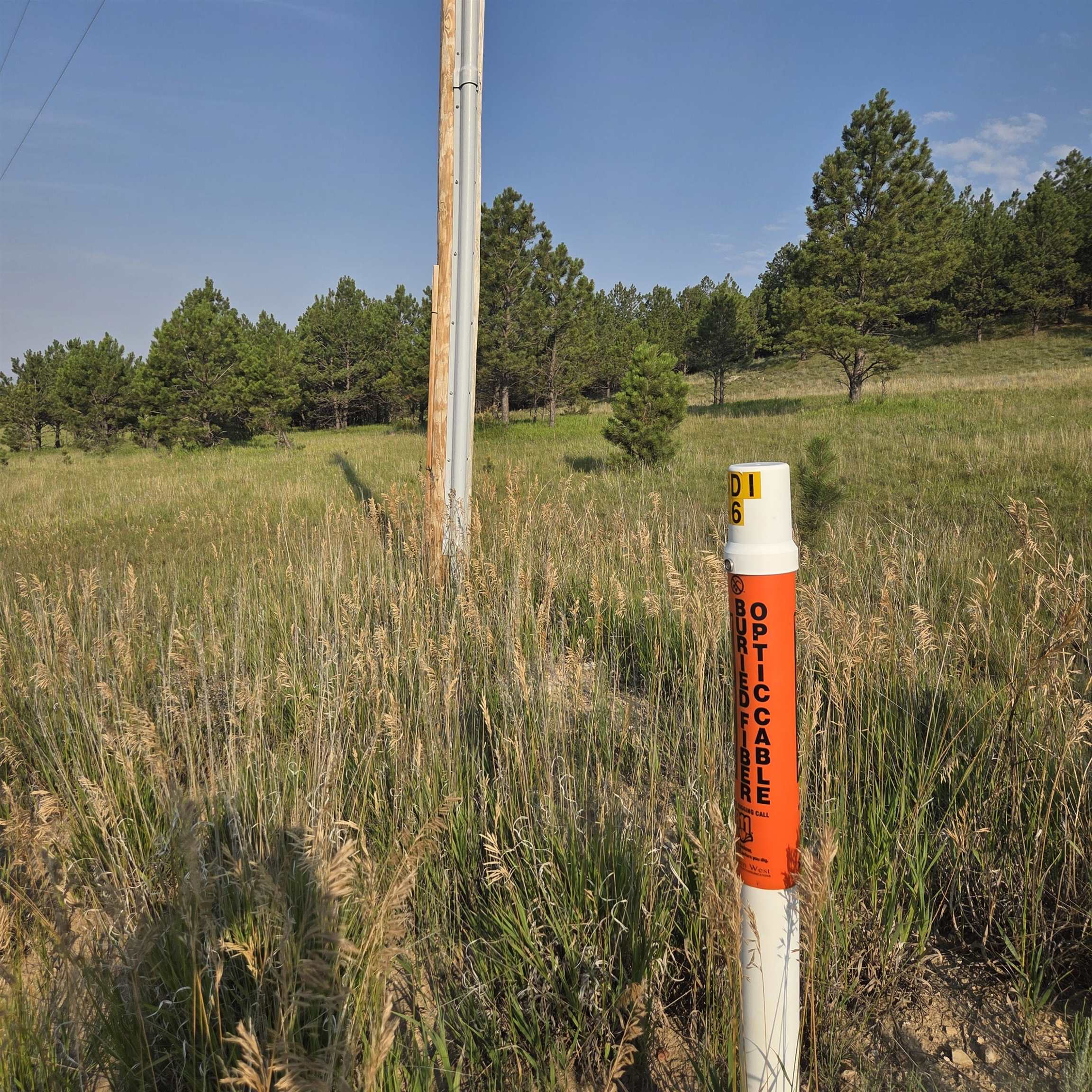 12075 True Grit Trail Property Photo 36