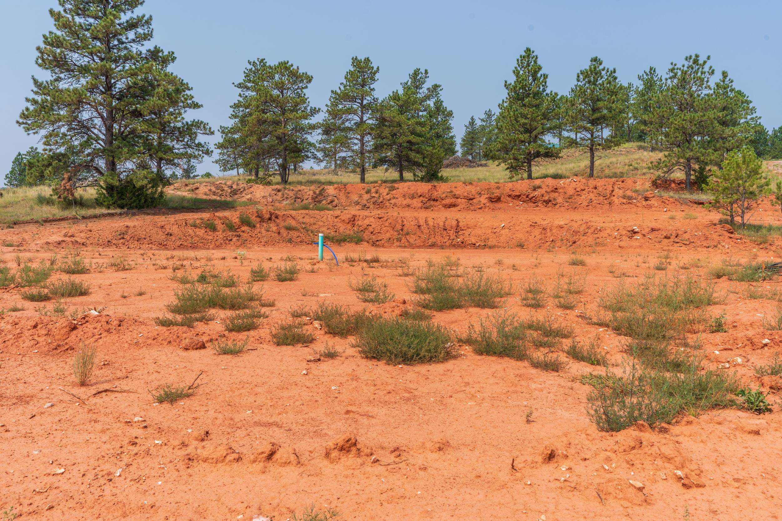28019 Evening Star Trail Property Photo 9