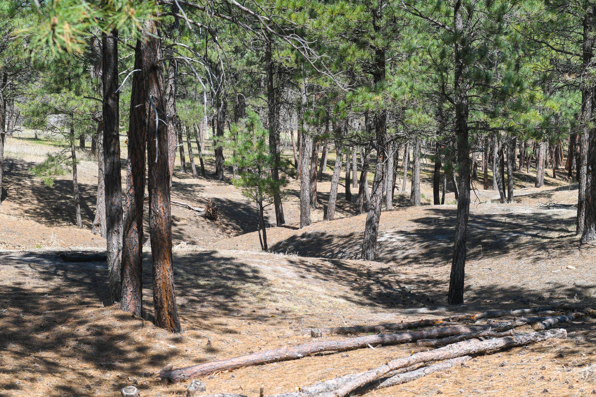 Lot R Property Photo 1