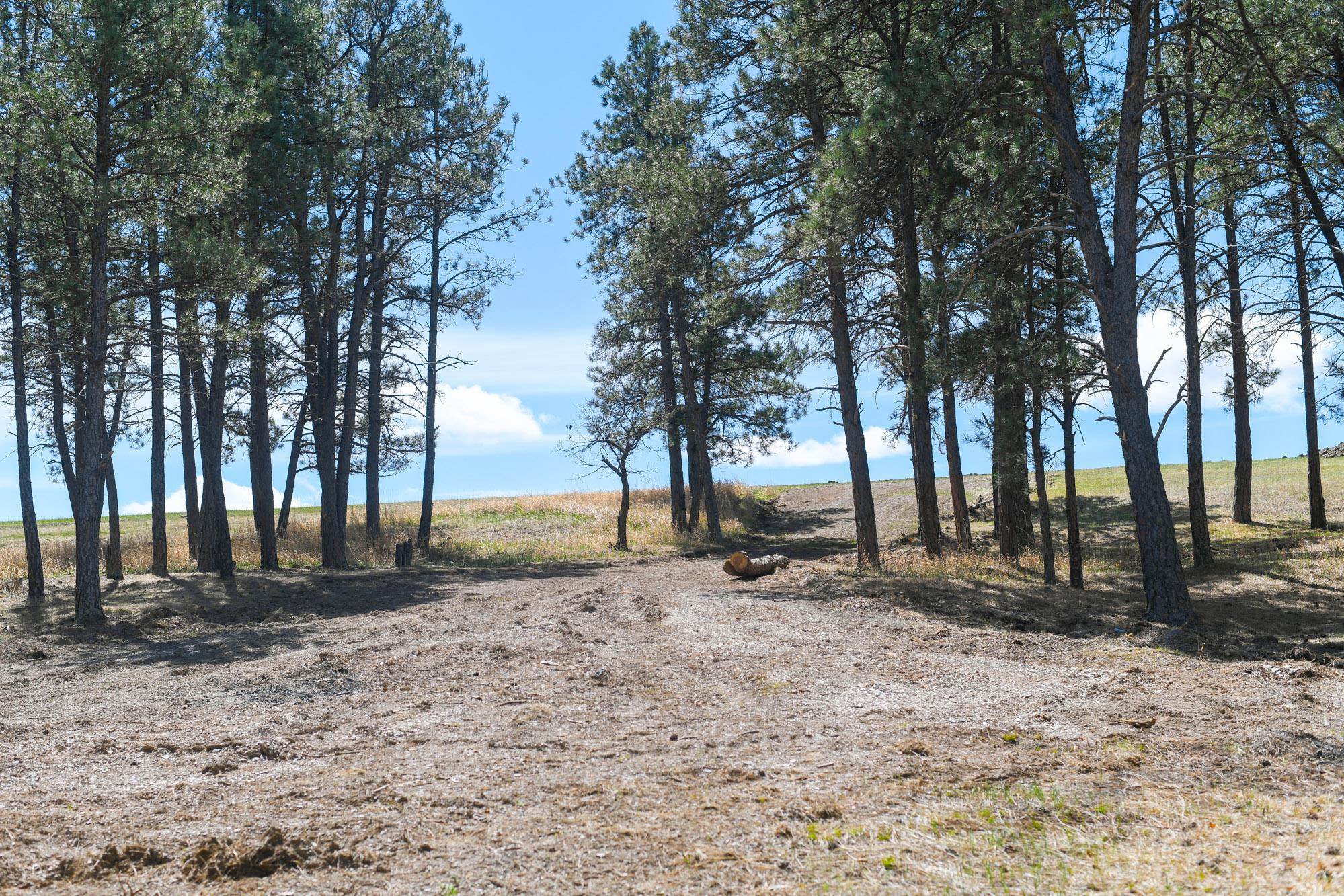 Lot R Property Photo 7