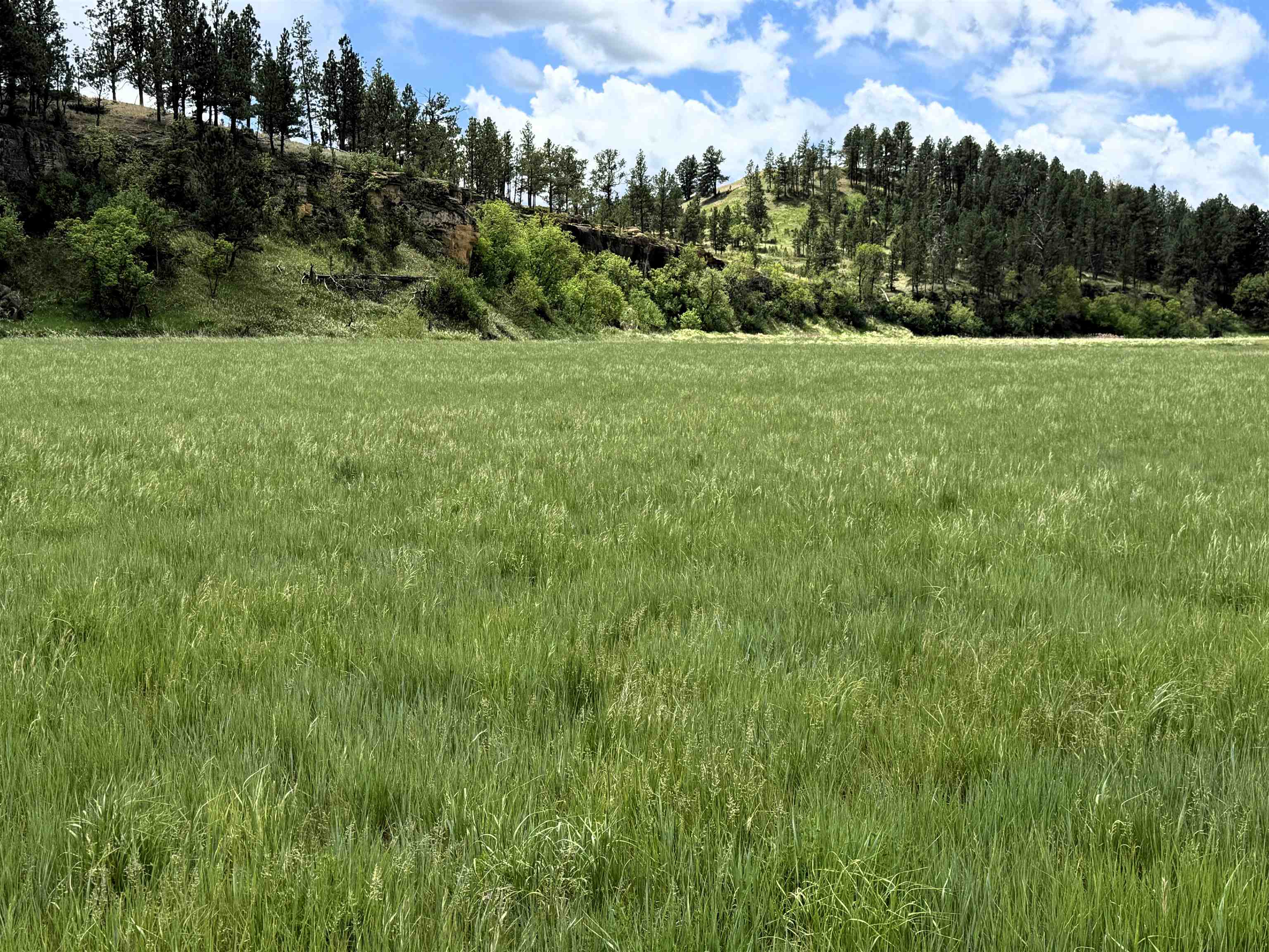 R10 Mustang Valley Road Property Photo 3
