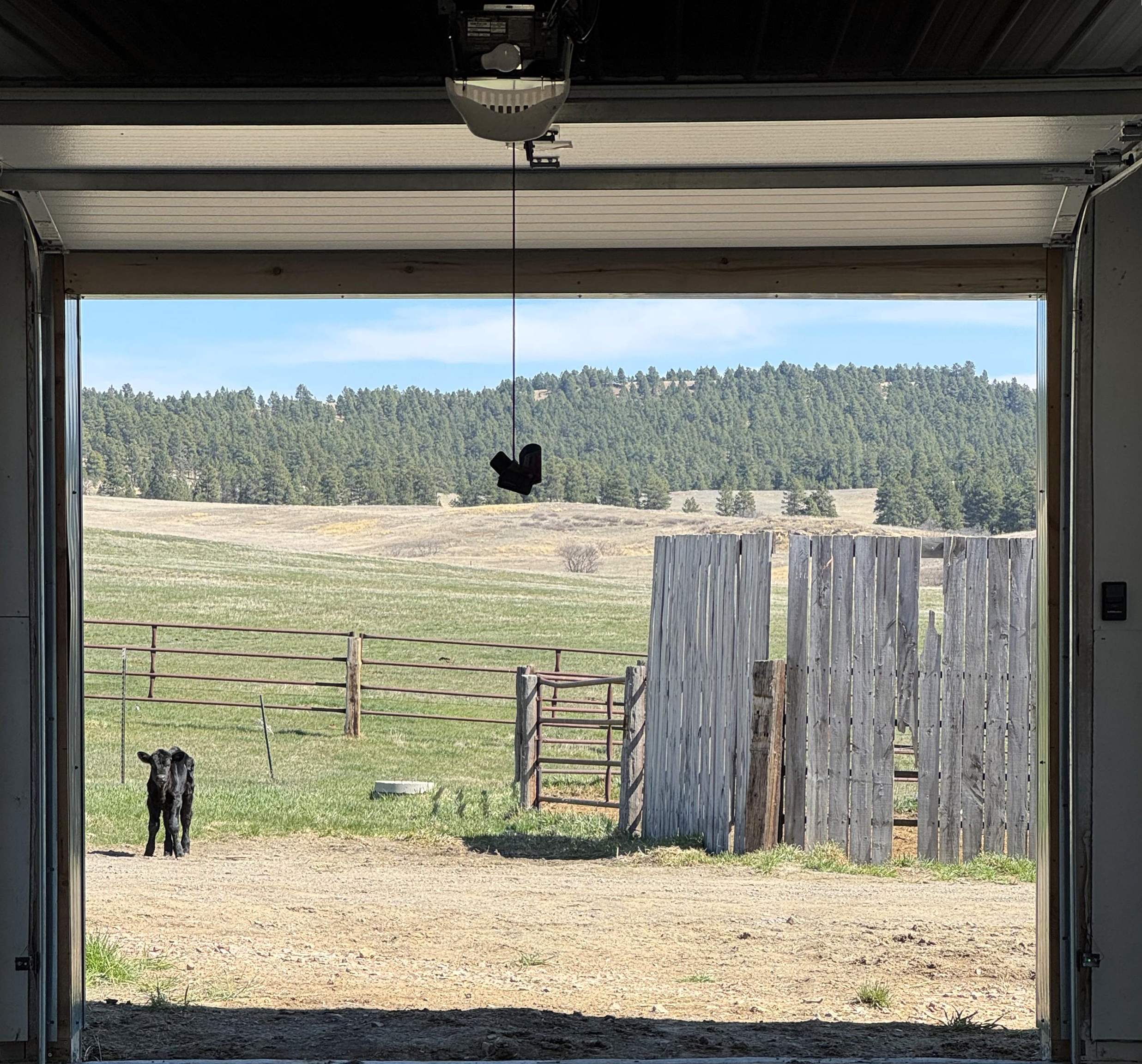 R10 Mustang Valley Road Property Photo 6