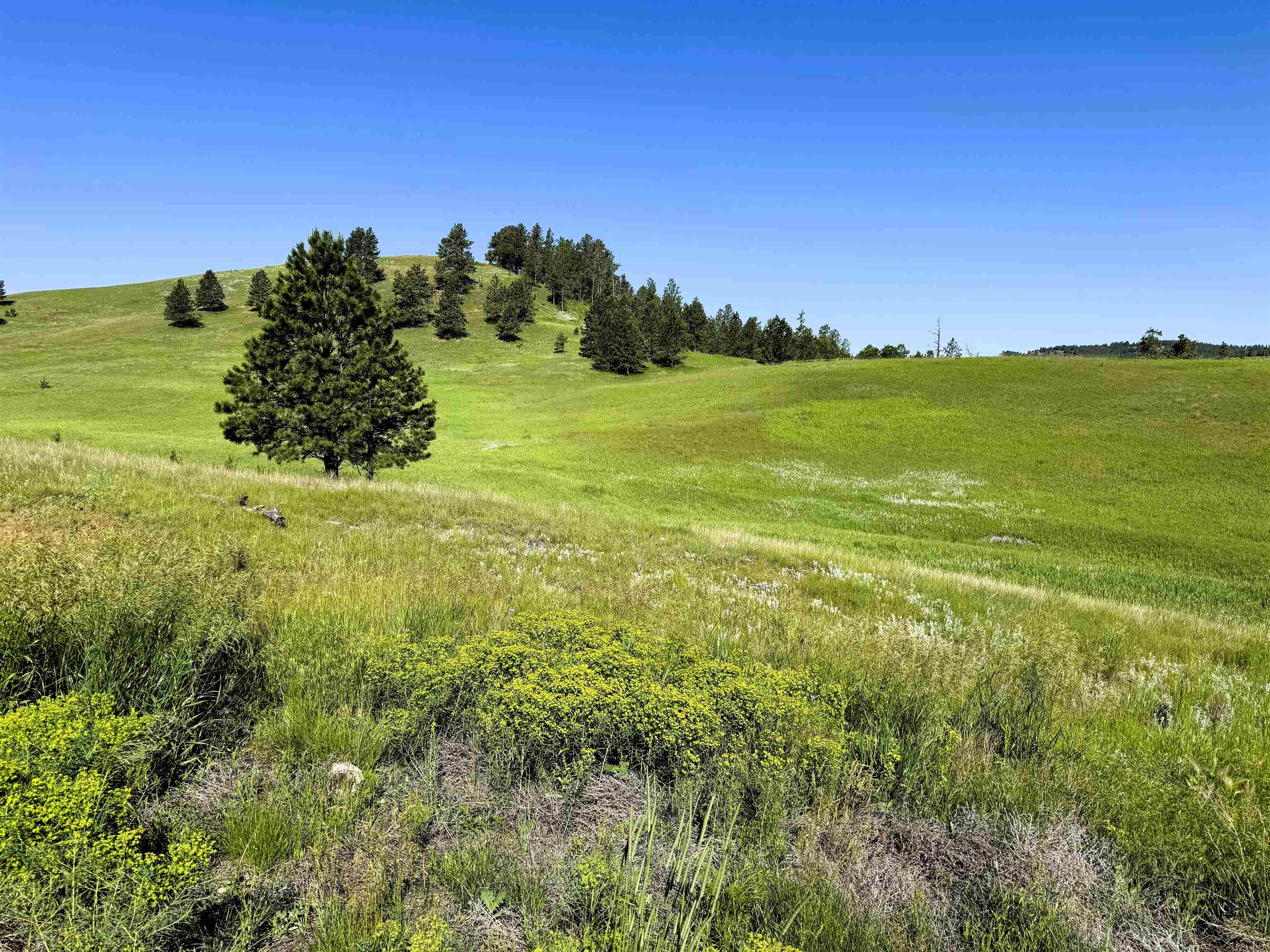 R10 Mustang Valley Road Property Photo 8